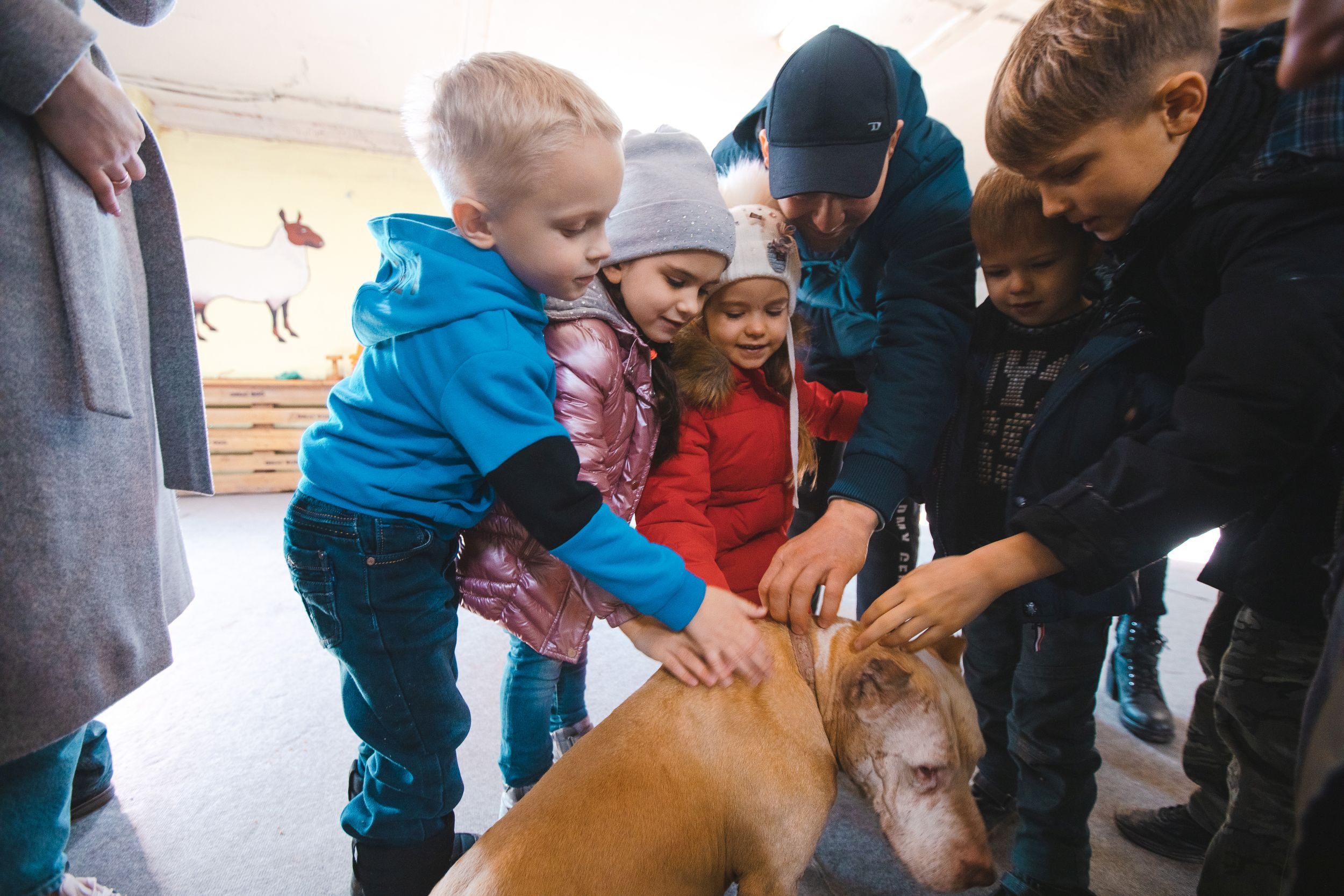 Детская экскурсия в кинологическом центре. Фотограф Марина Верятинская | Краснодар