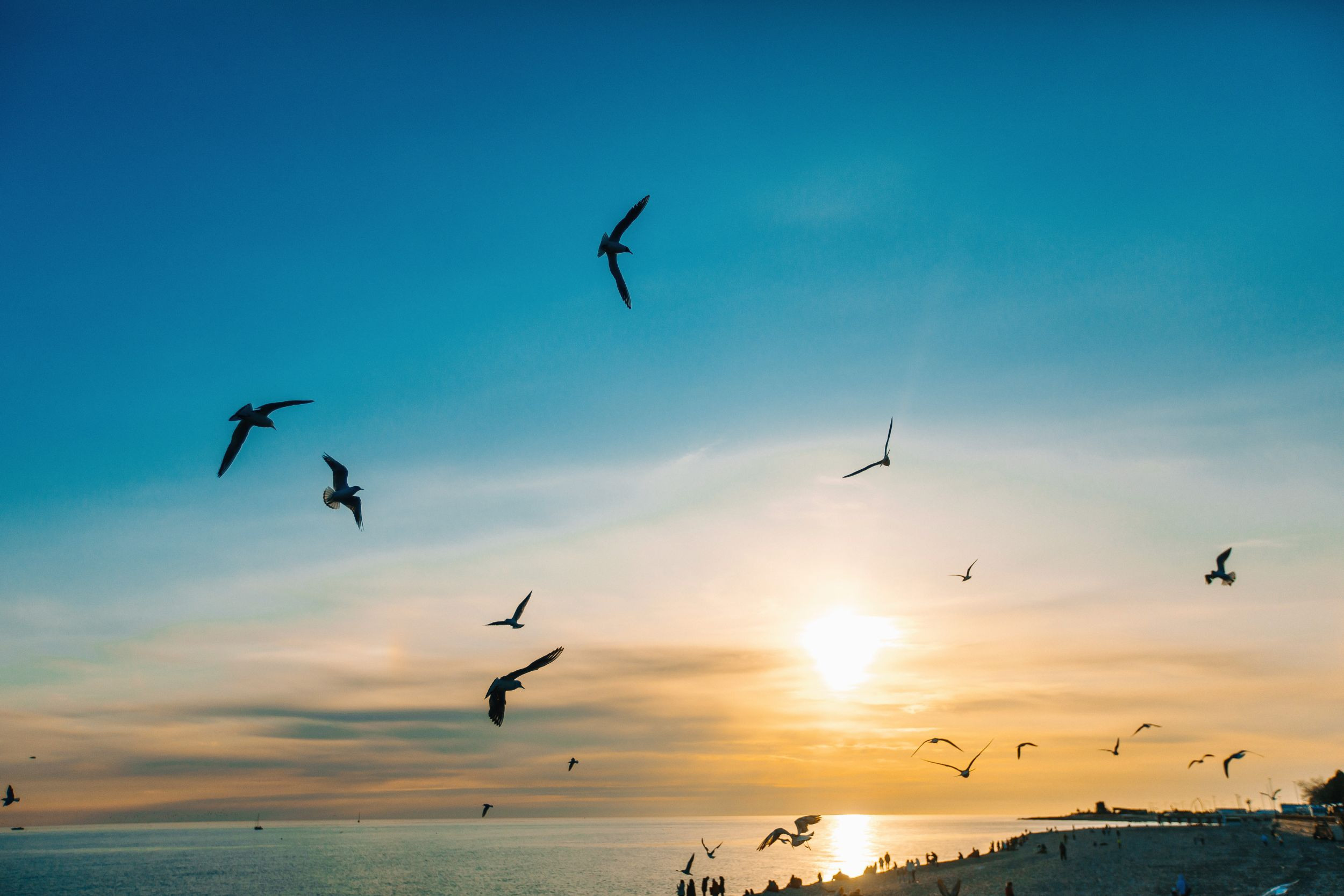 Lovestory | Сочи, Антон и Оля. Фотограф Марина Верятинская | Краснодар