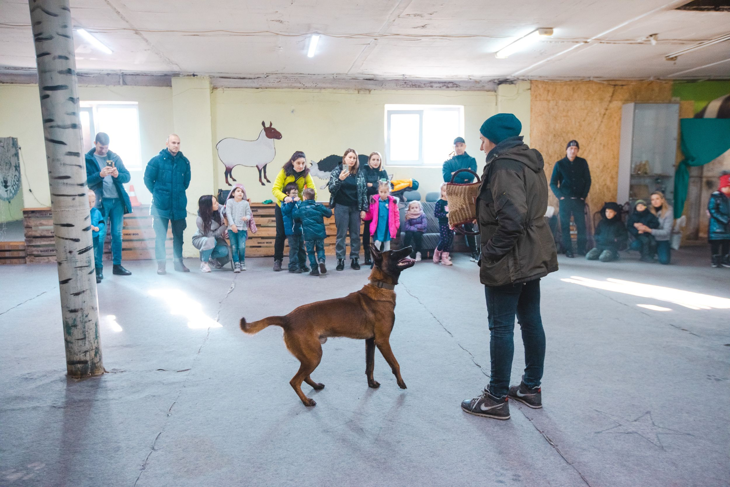 Детская экскурсия в кинологическом центре. Фотограф Марина Верятинская | Краснодар