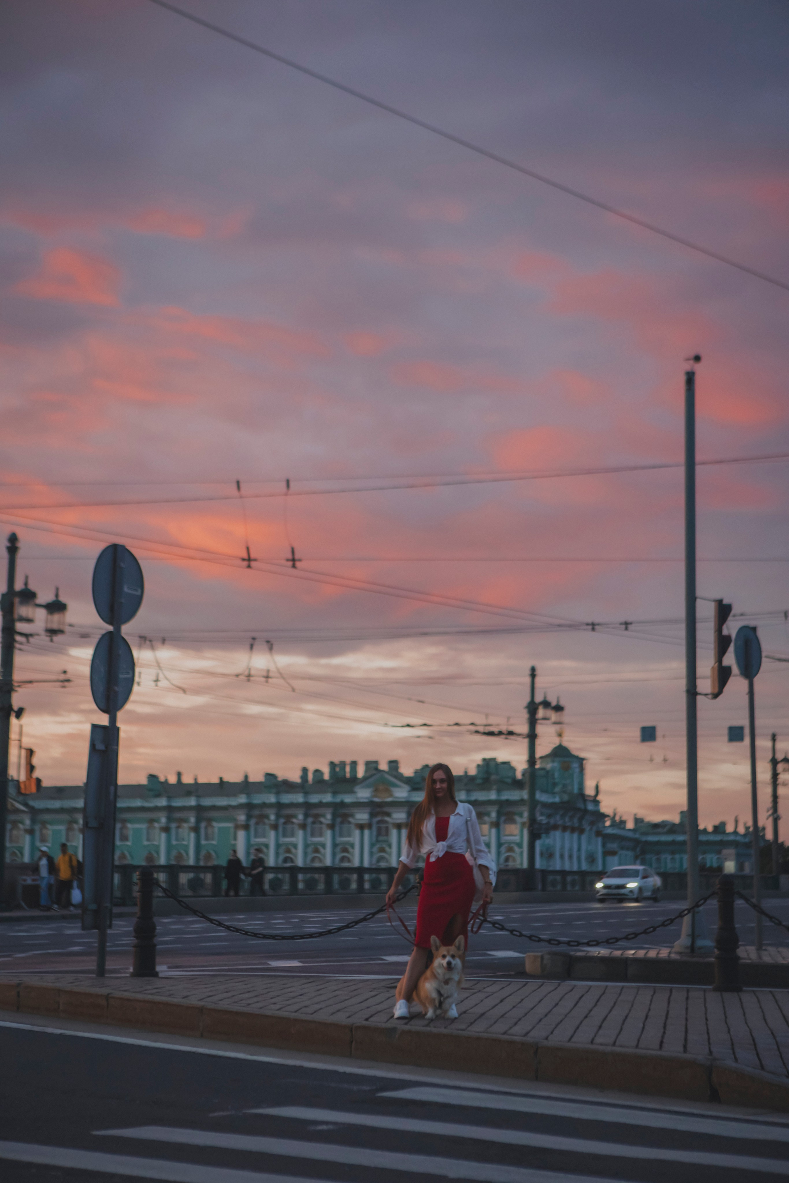 Настя и Стёпа. Фотограф-анималист в Санкт-Петербурге Алина Яхонт