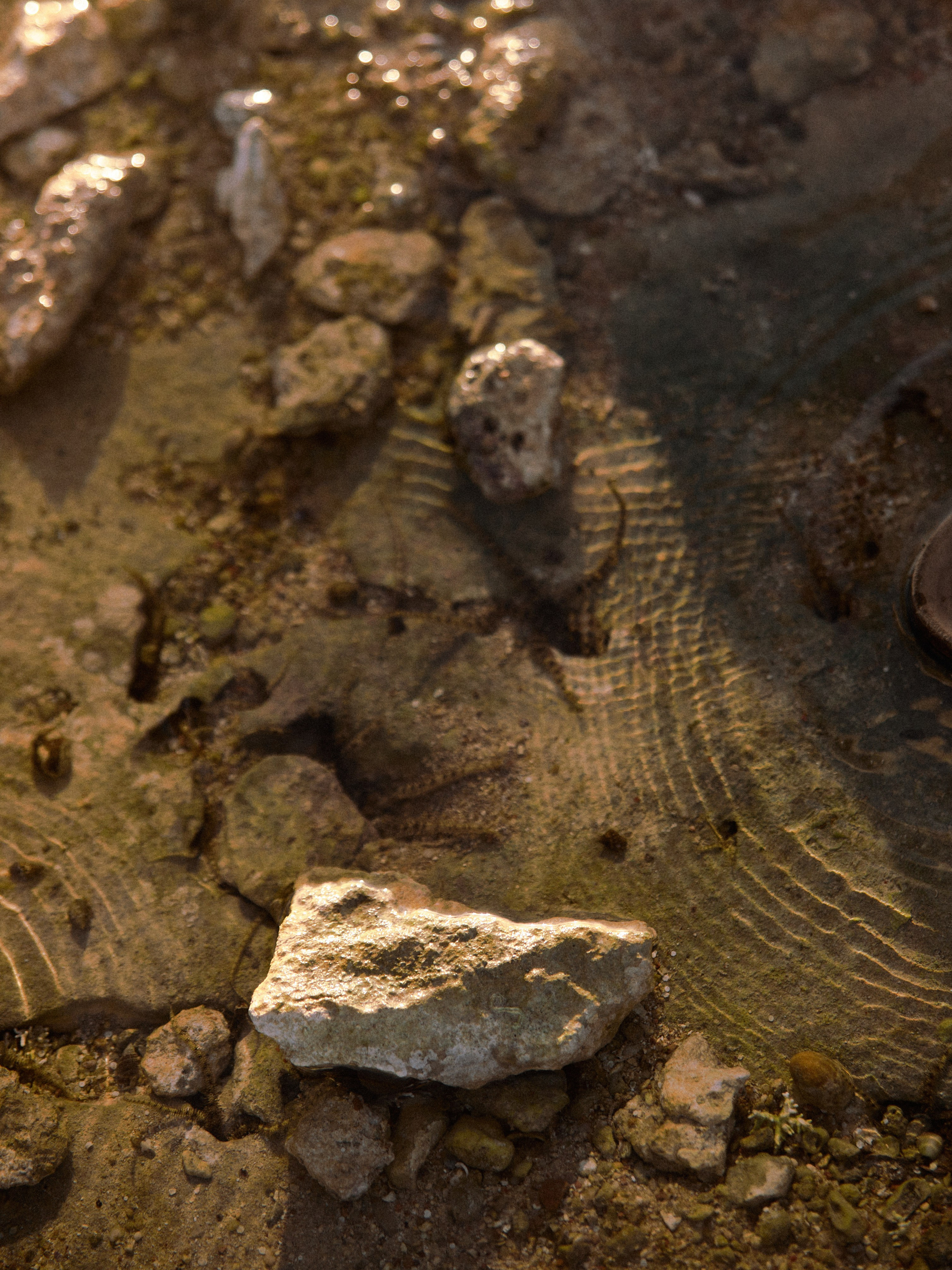 Диптих. Jorgis — фотограф в Хургаде / обучение фотографии