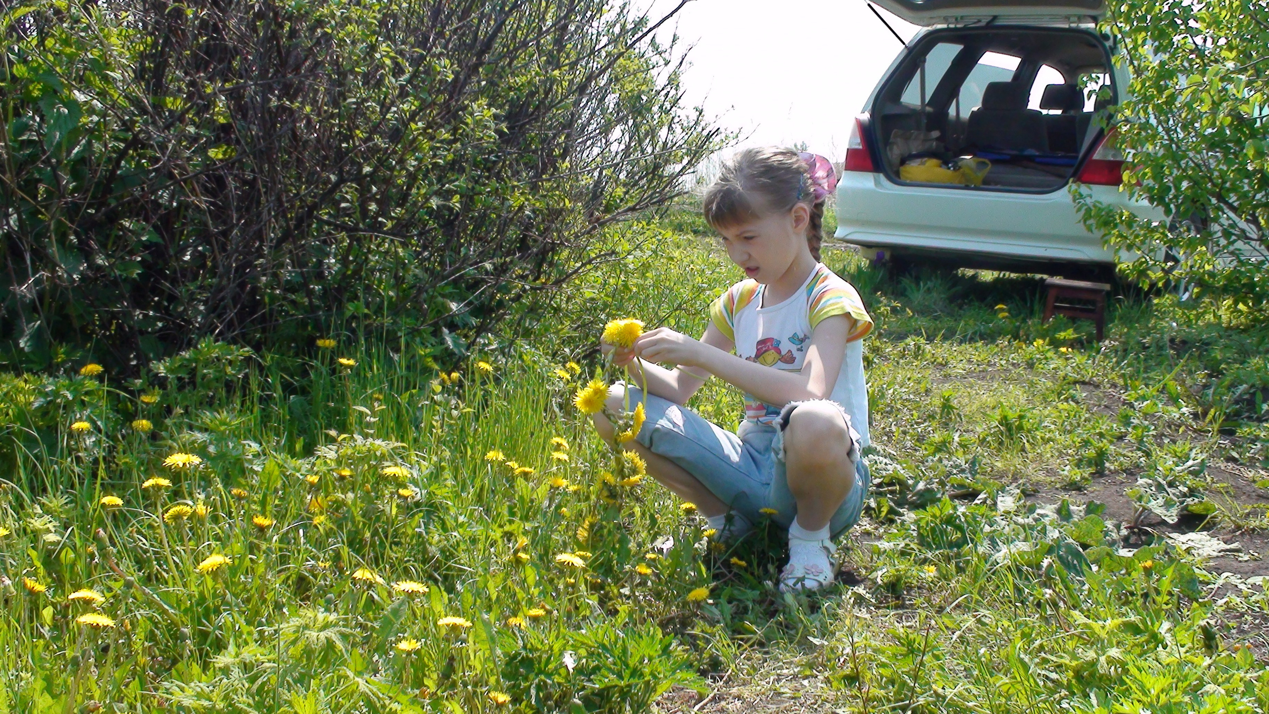 Дача 07.06.2009. Семейный, Свадебный фотограф СПБ Питер— Романова Екатерина