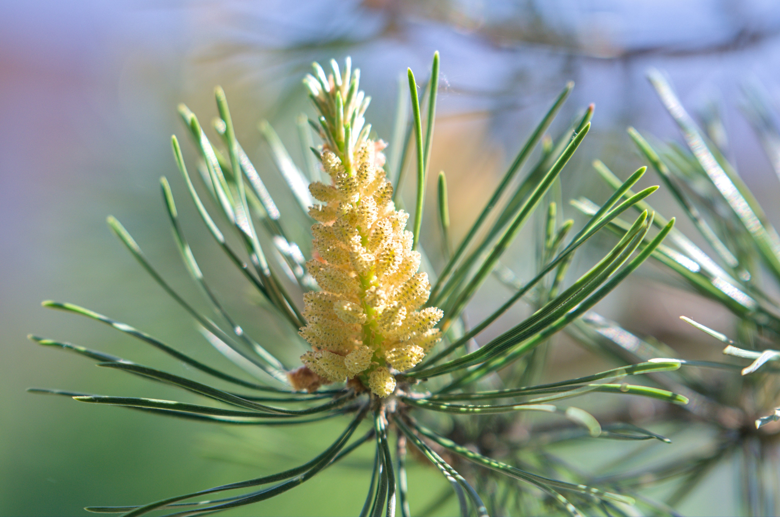 Природа. Фото детских спортивных мероприятий и всякое интересное через объектив