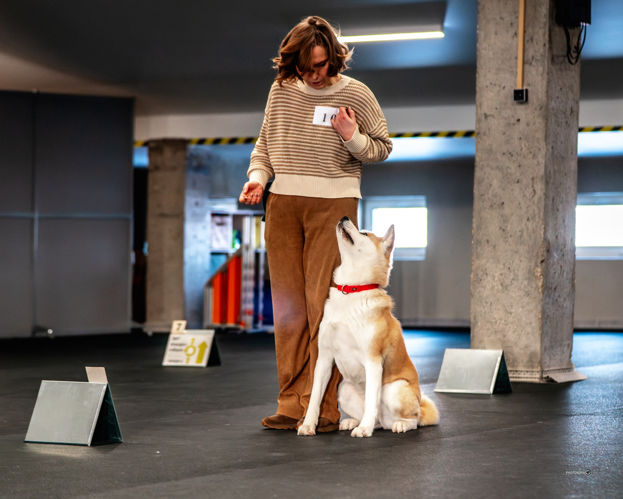 ТЫ И Я (соревнования по ралли-обидиенс). Фотограф-анималист, семейный фотограф в Москве и Подмосковье. Фотосъёмка кинологических дисциплин