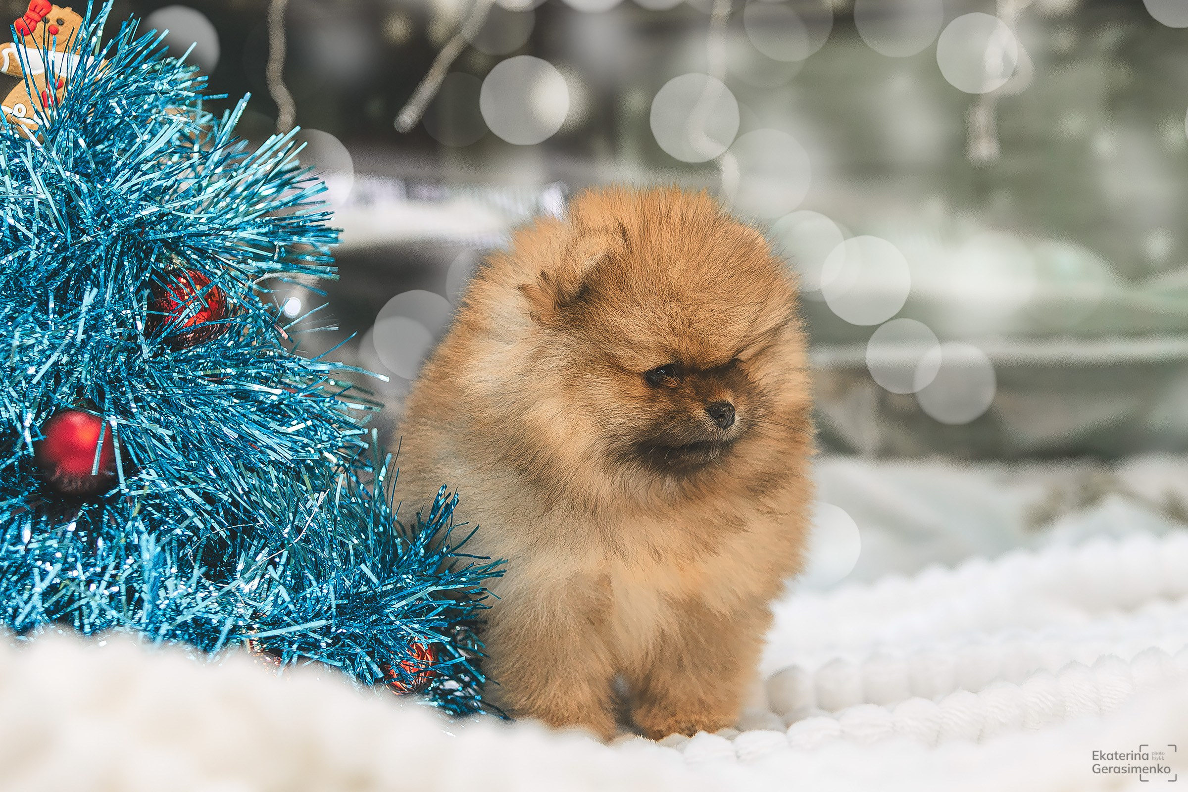 Фотодень. Htykk_photo