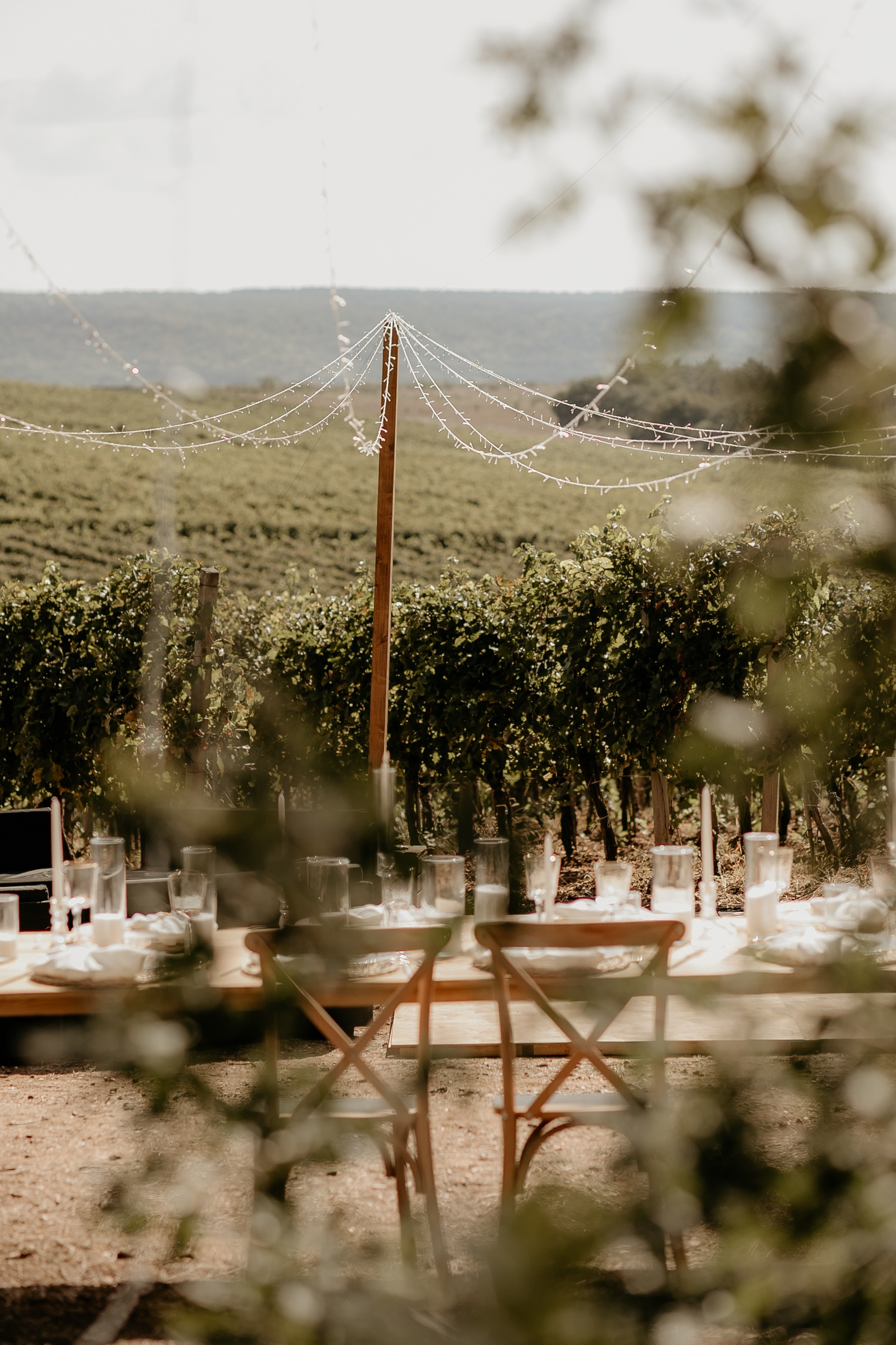 Wedding on winery. Свадебный фотограф в Севастополе и Крыму| Tanya Sher