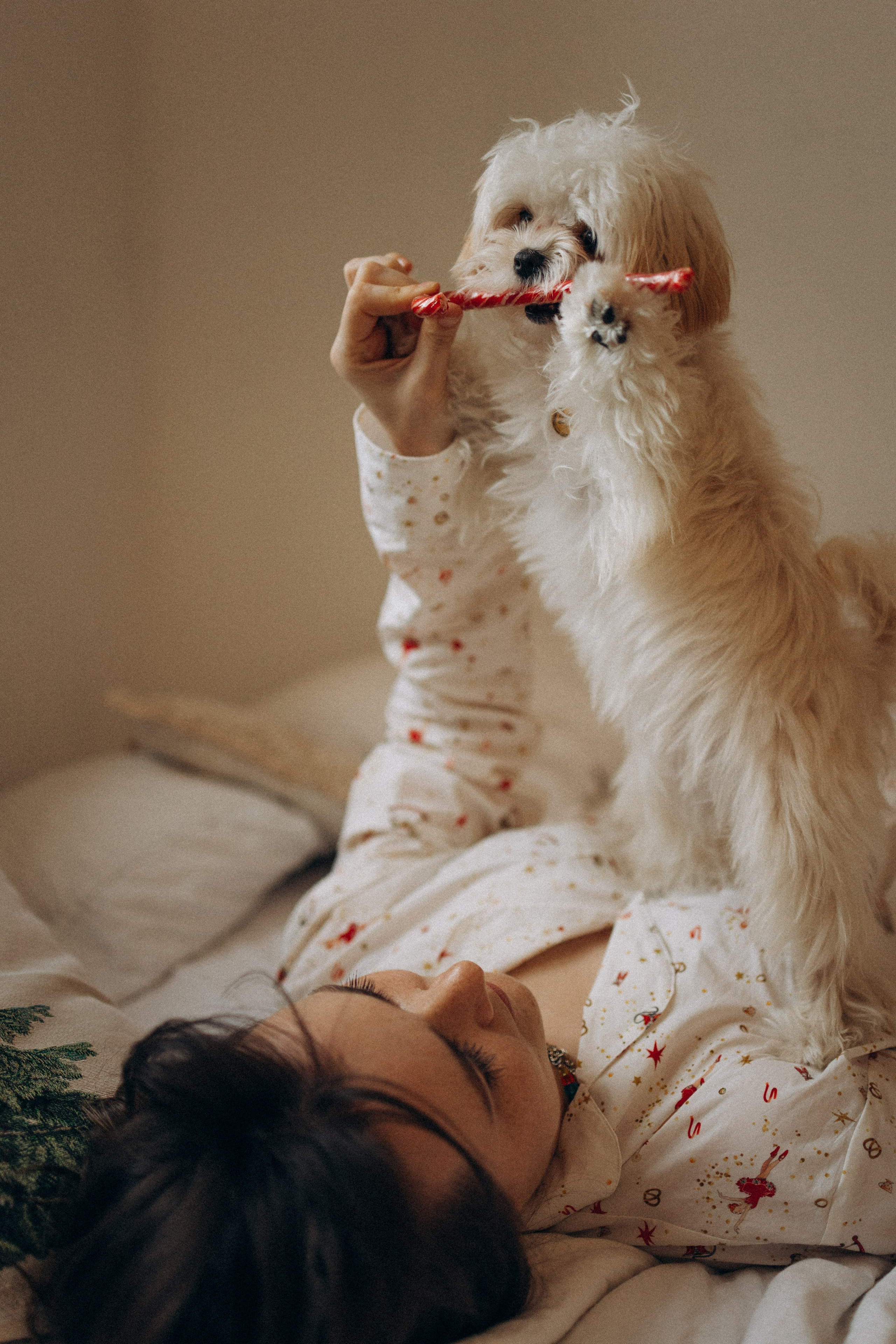 Оля и Бри. Фотораф — анималист Мария Шистка