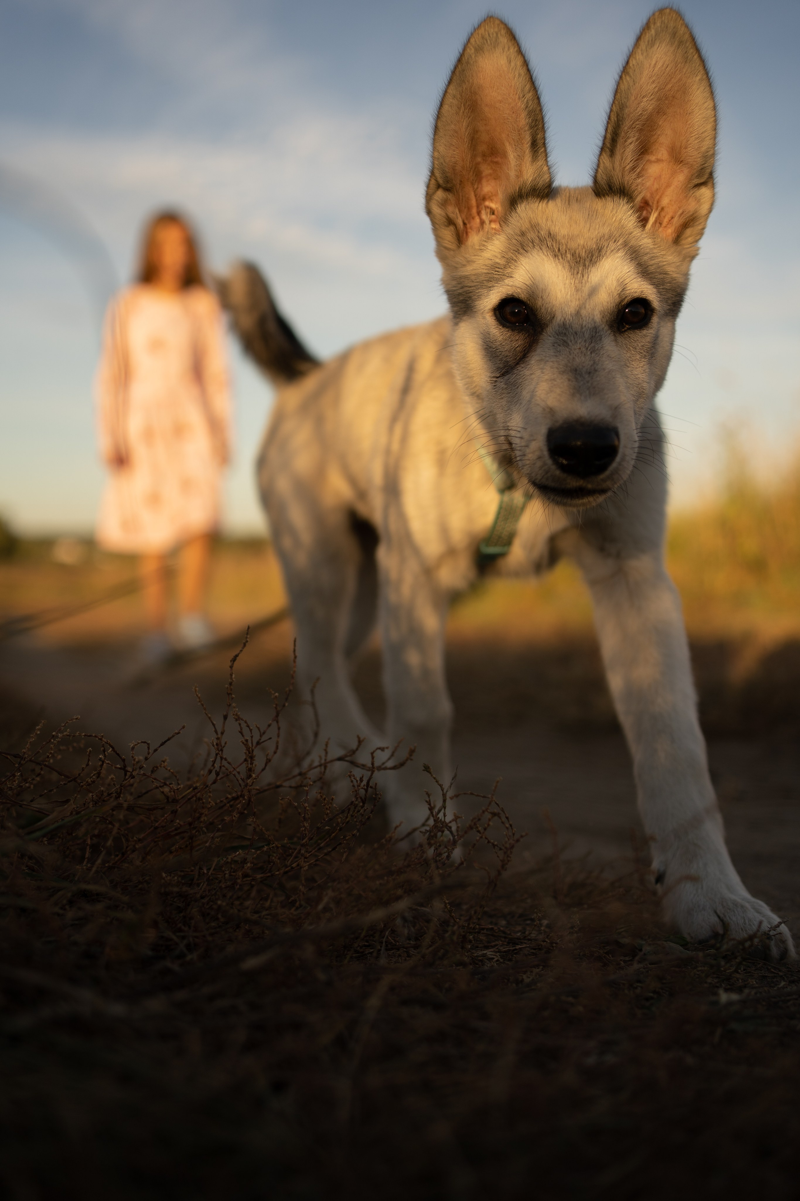 Семейная съемка для Александры. Фотограф Катя Стрельцова
