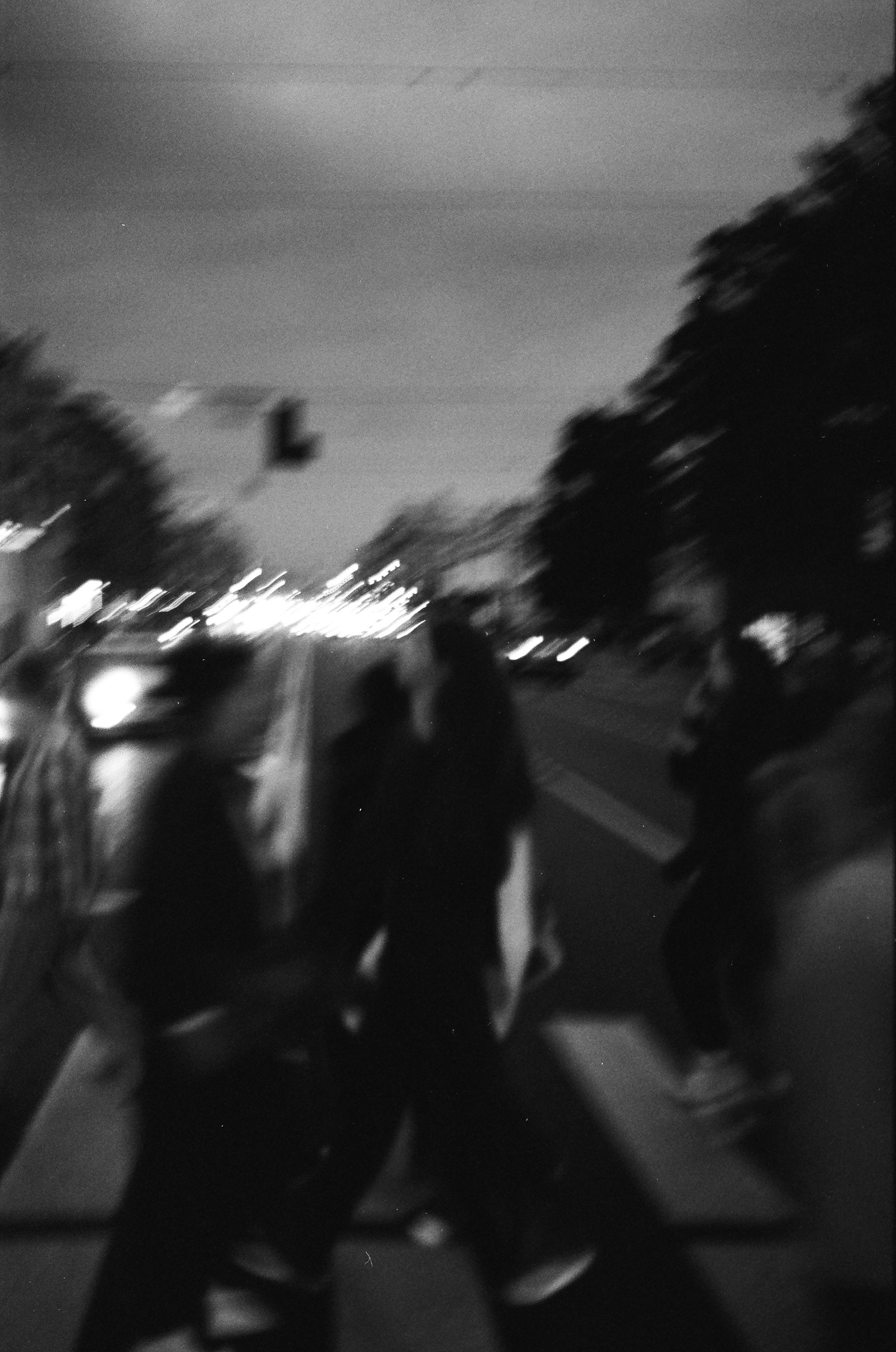 Dispersed Presence. Film and another stuff