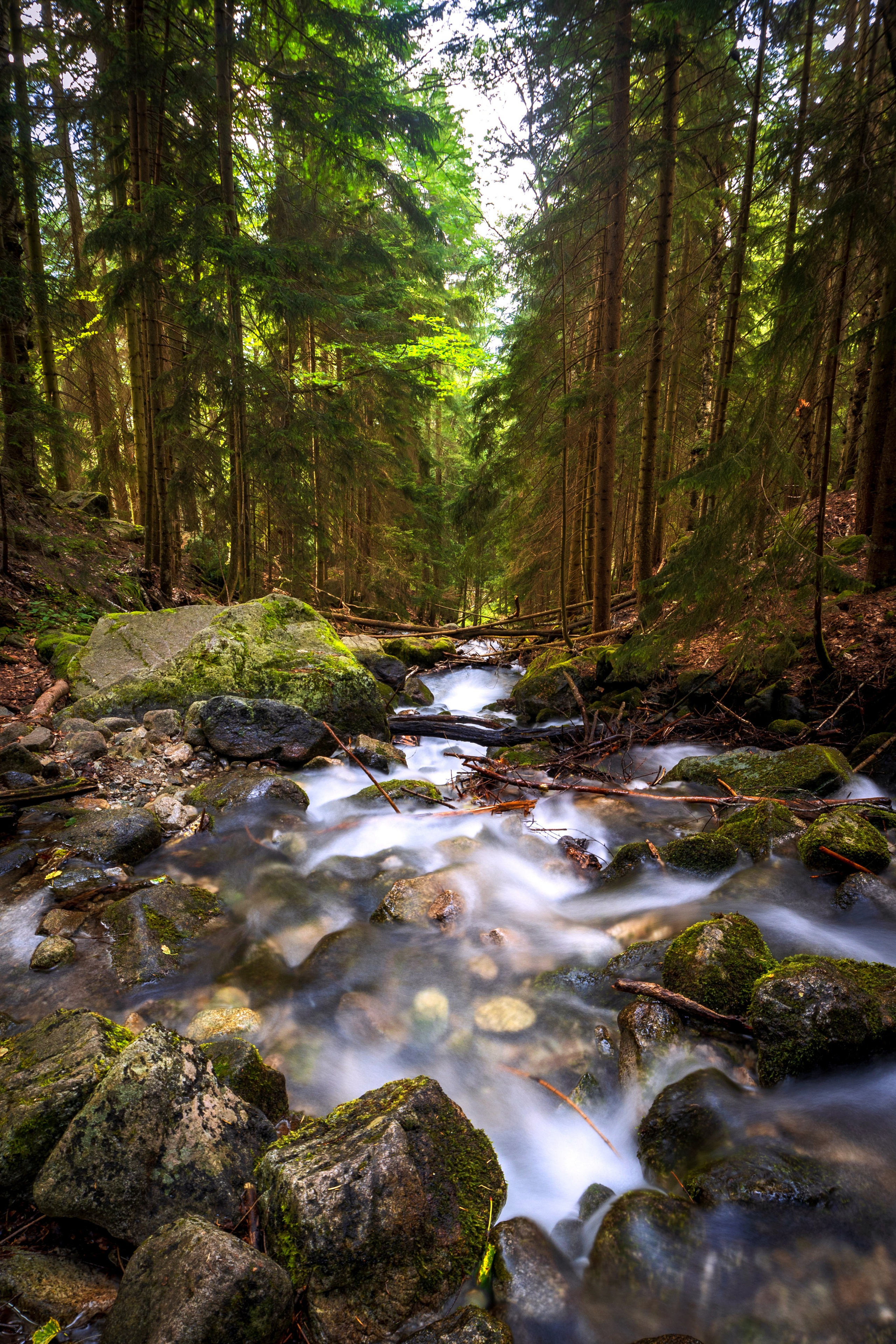 Домбай. Фотохудожник Артём Парамонов
