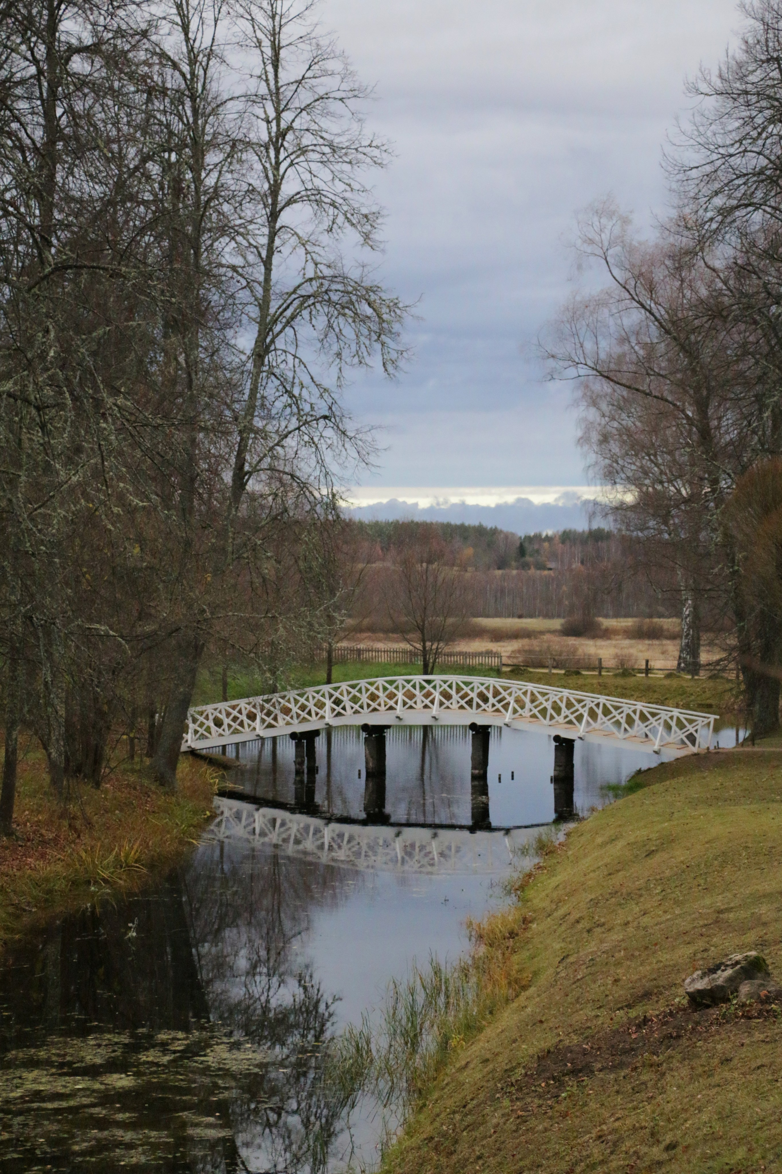 Пейзажи. Фотограф из Санкт-Петербурга — Виктория Горелкова