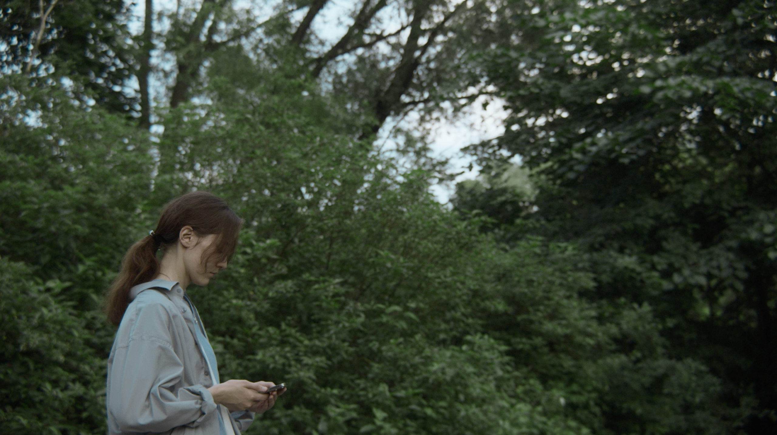 The limits of the world. Tokcolor