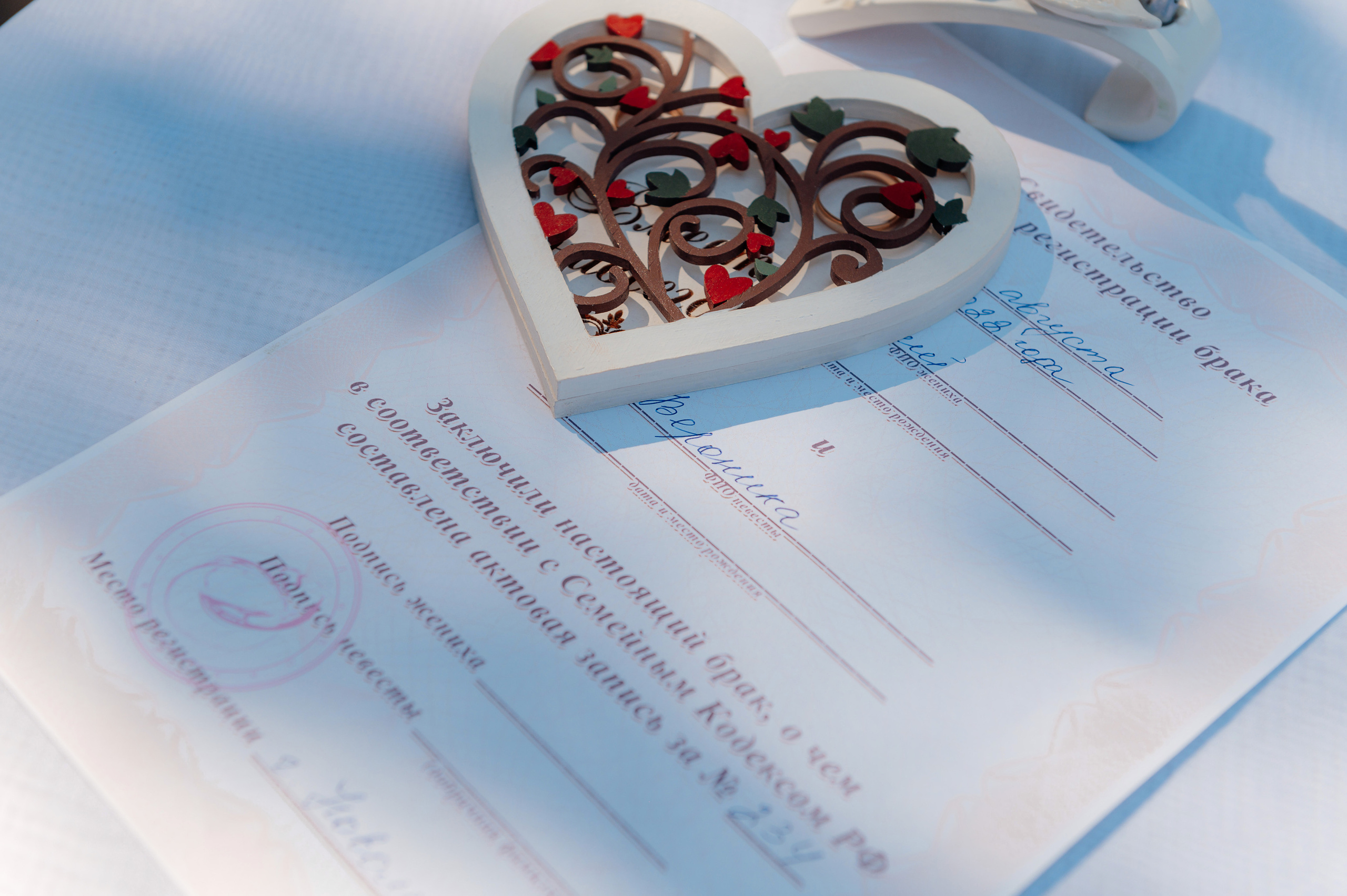 Евгений и Вероника. Свадебный и семейный фотограф в Тульской области Пашкова Екатерина