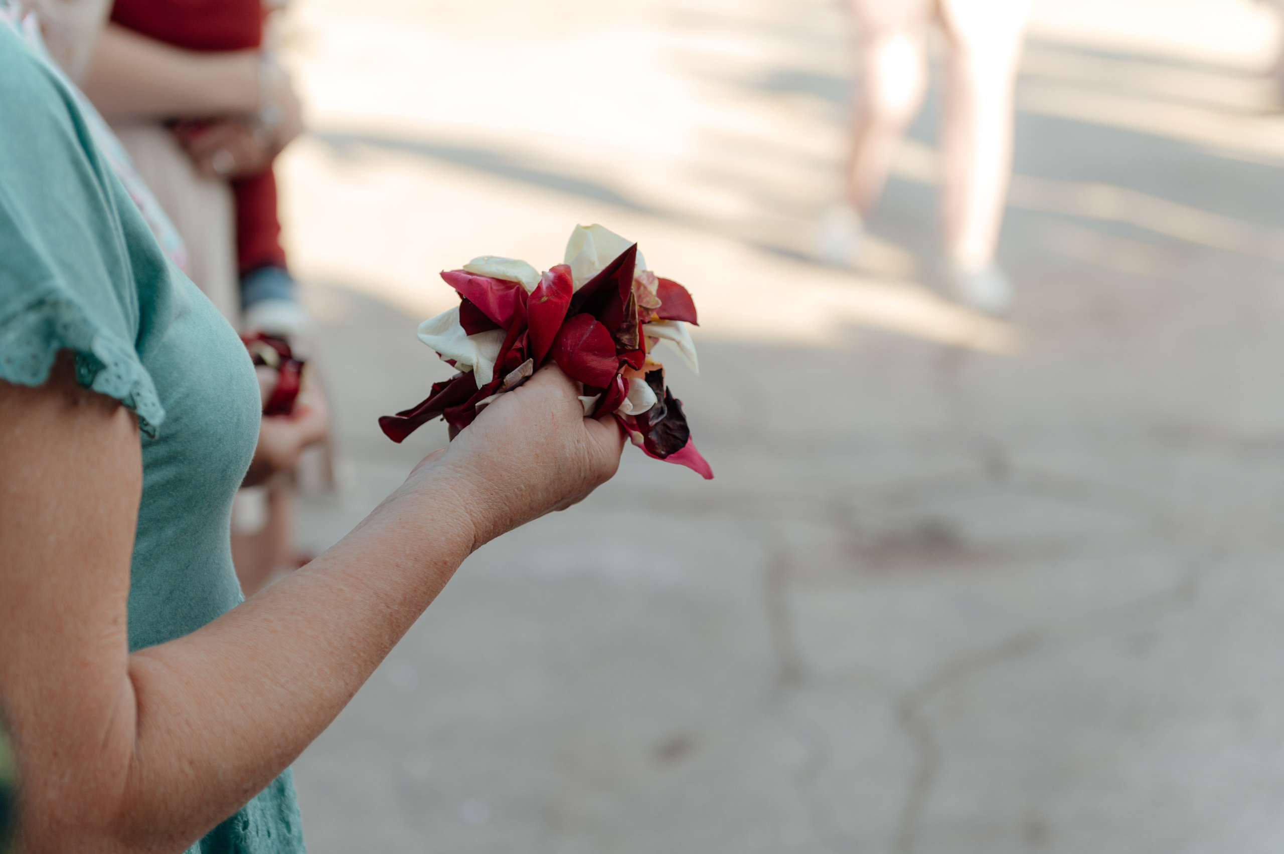 Евгений и Вероника. Свадебный и семейный фотограф в Тульской области Пашкова Екатерина
