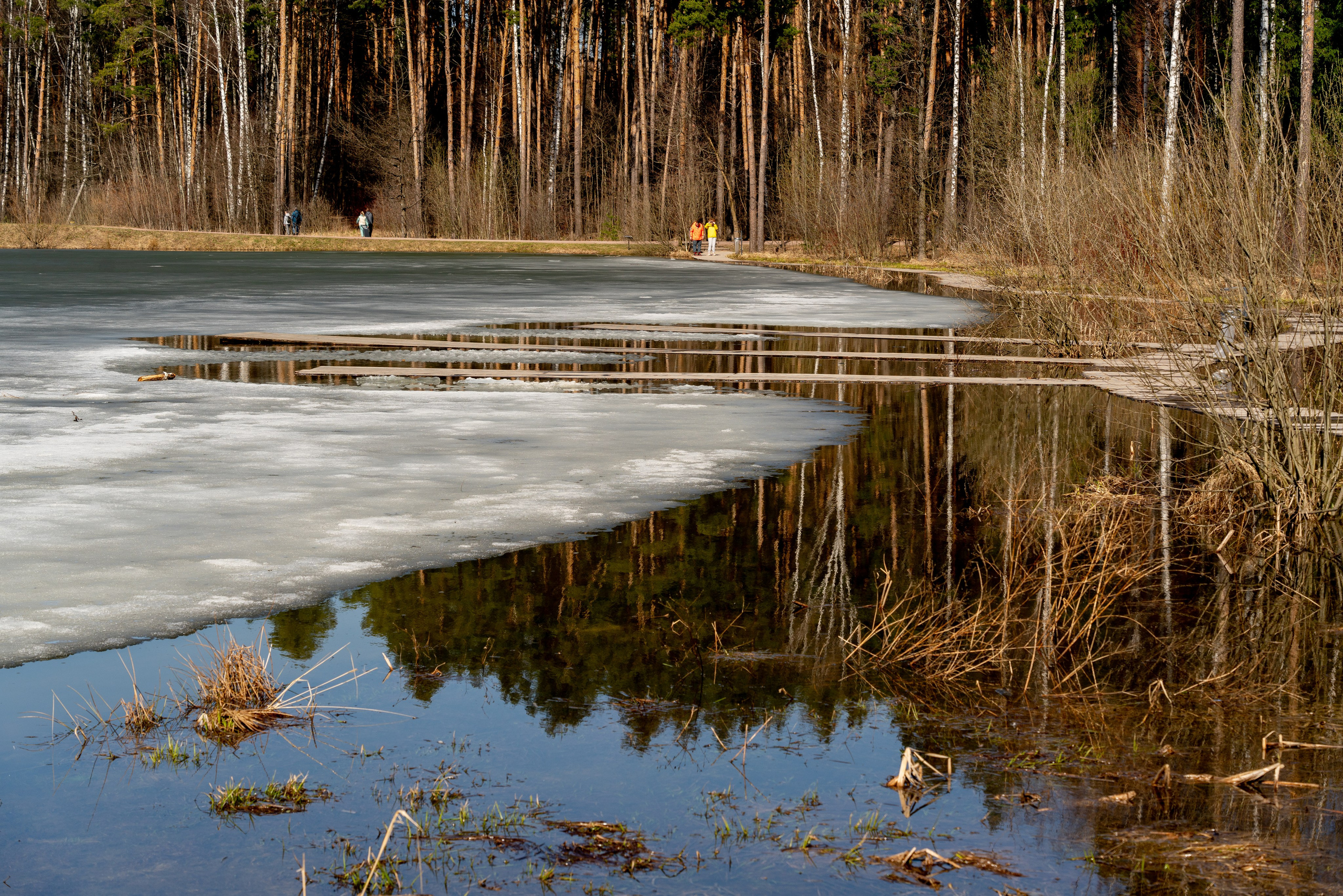 Мещерский парк. ПОБУДЬ ЗДЕСЬ И ЦЕЛЕЕ БУДЕТ ЭТОТ МИР