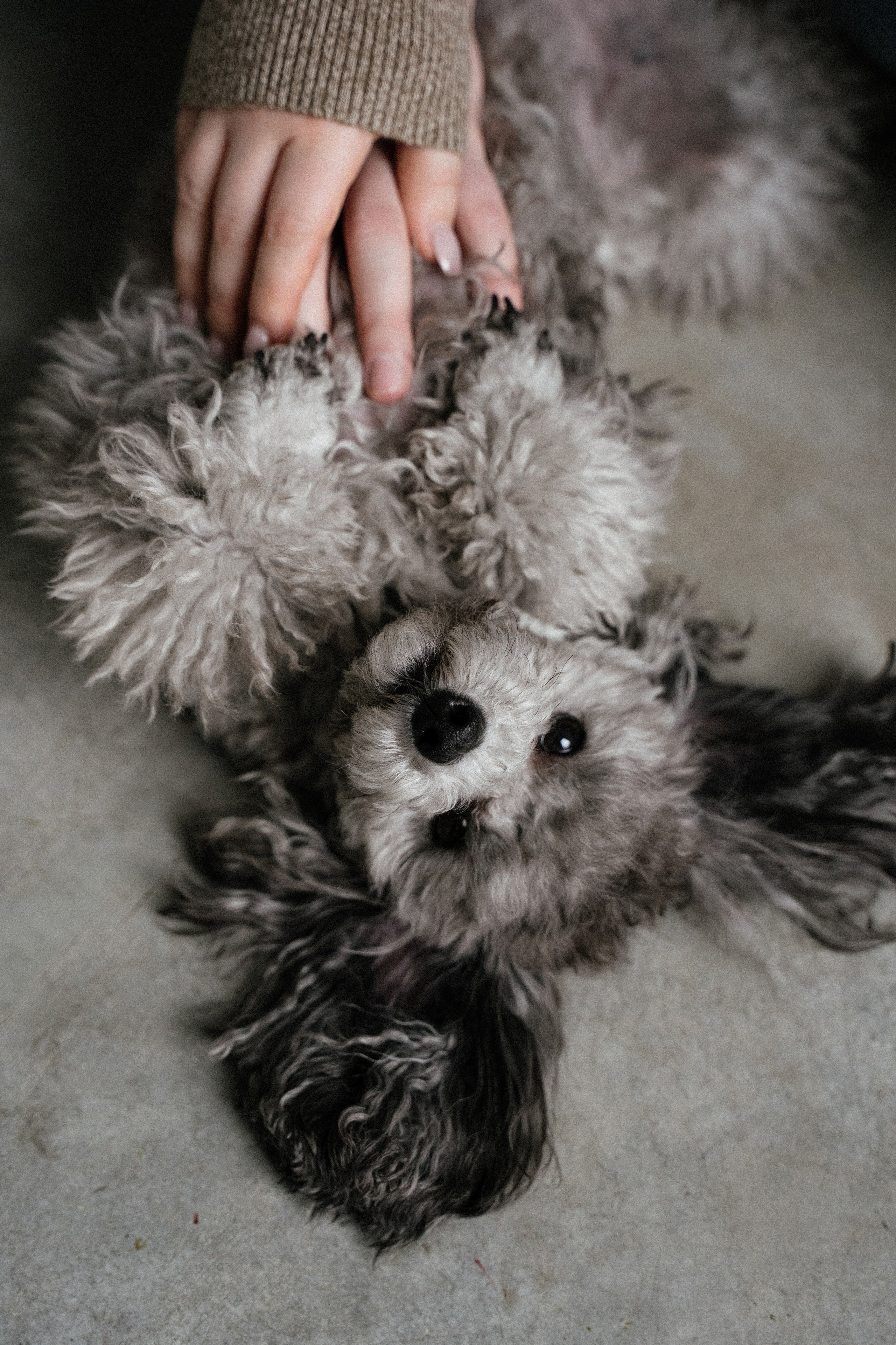 Валерия и Айдар. Фотограф в Москве Наталия Варакина