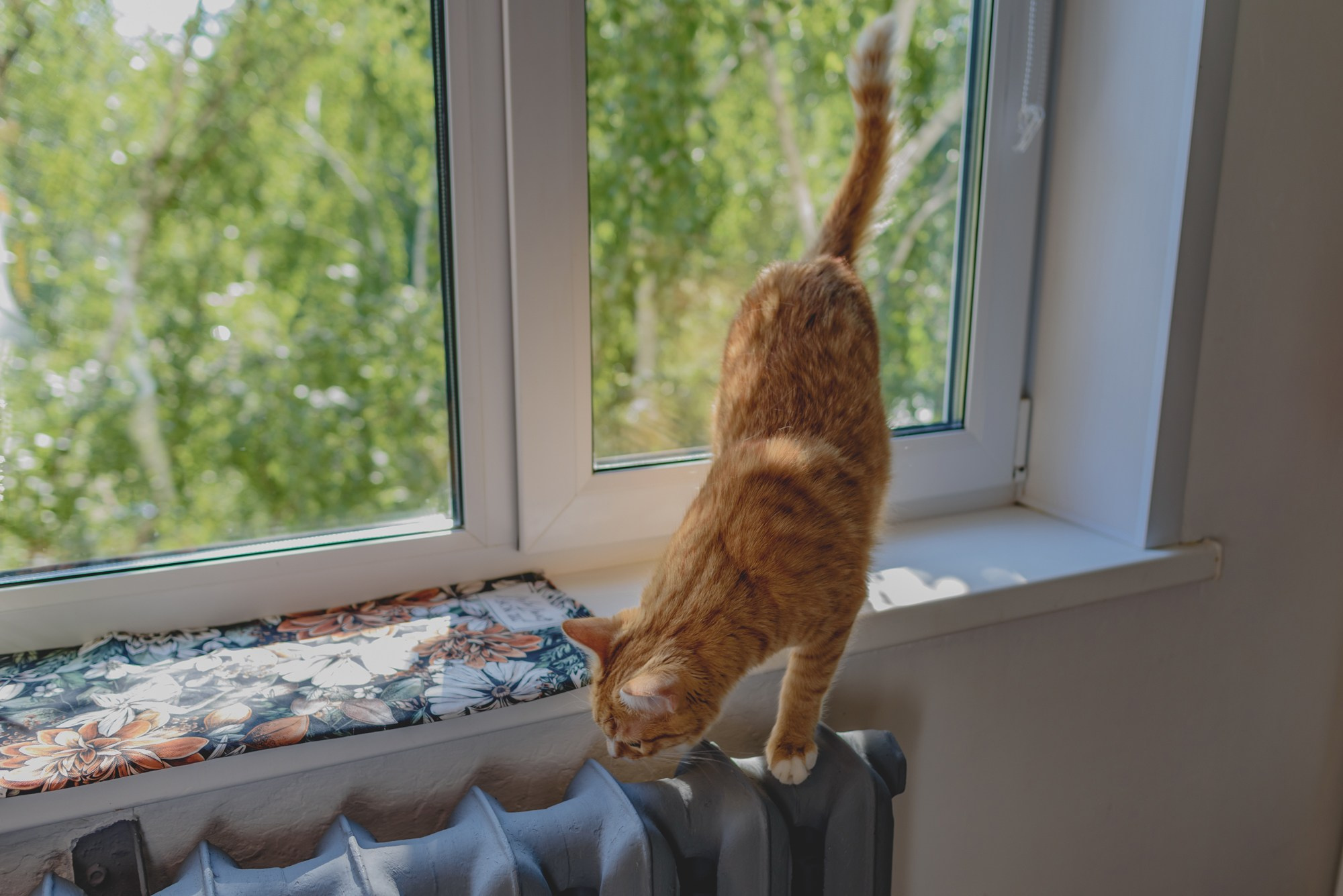 Дредомастер Екатерина. Репортажный и портретный фотограф в Твери Ольга Борисова