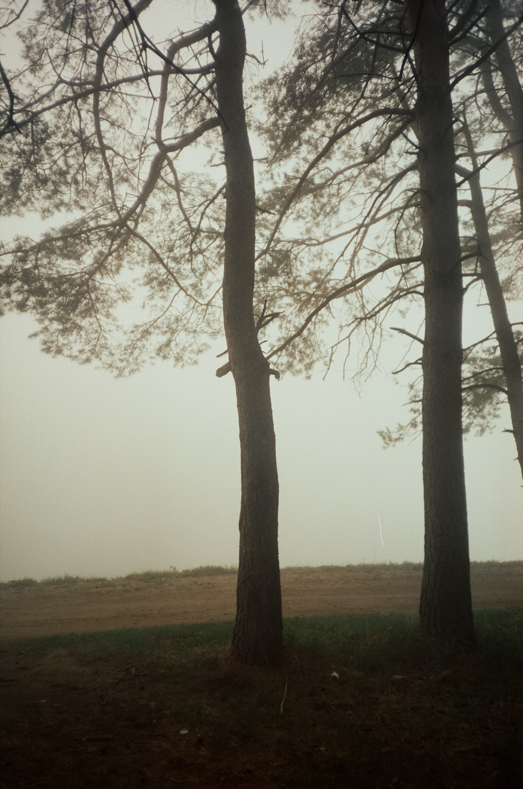 Дорога к Джилы-Су и лошадки в тумане. Фотограф-документалист Мария Осокина