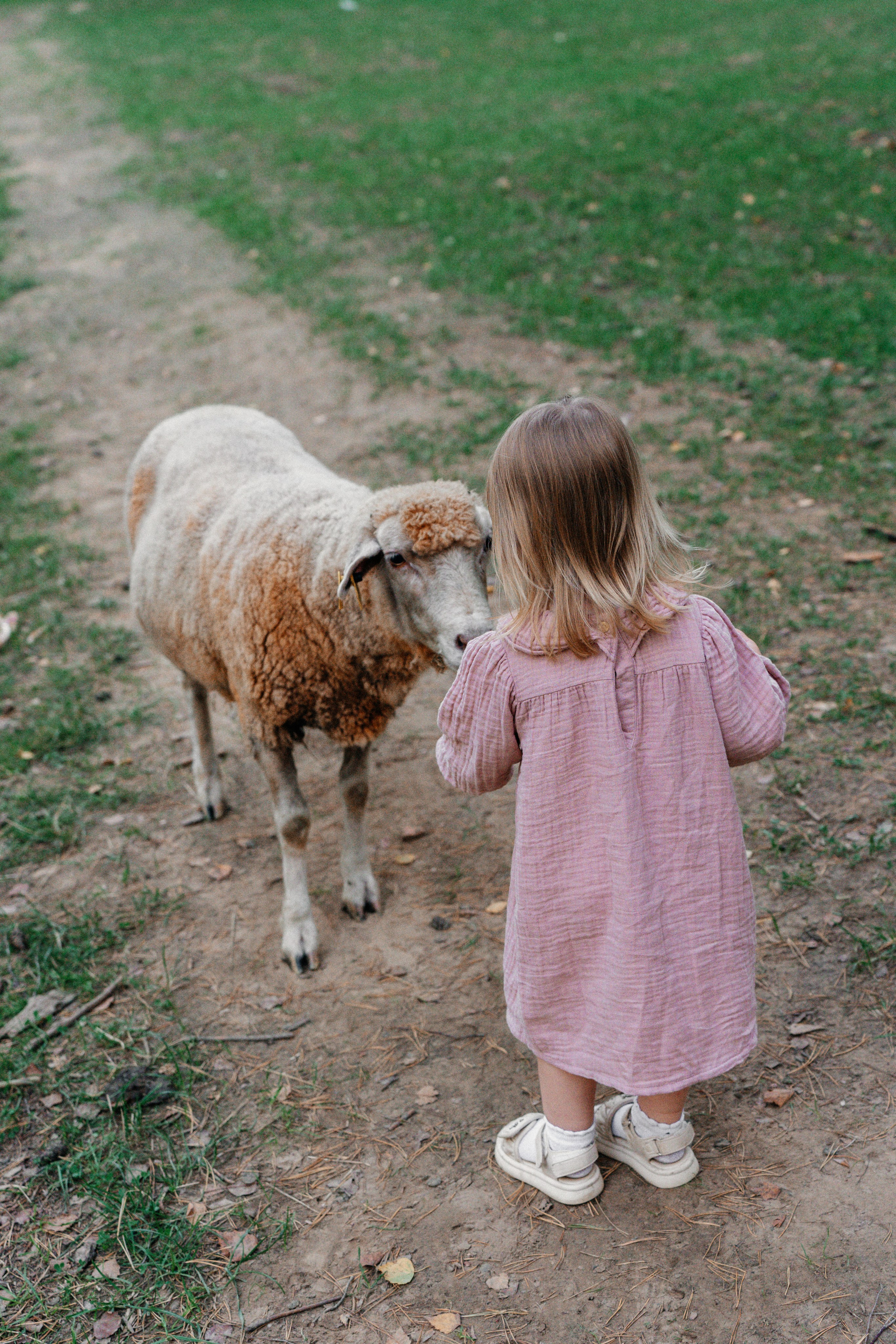 Диприз — в мире диких животных. Ваш семейный фотограф в Минске — Вика Трегубова