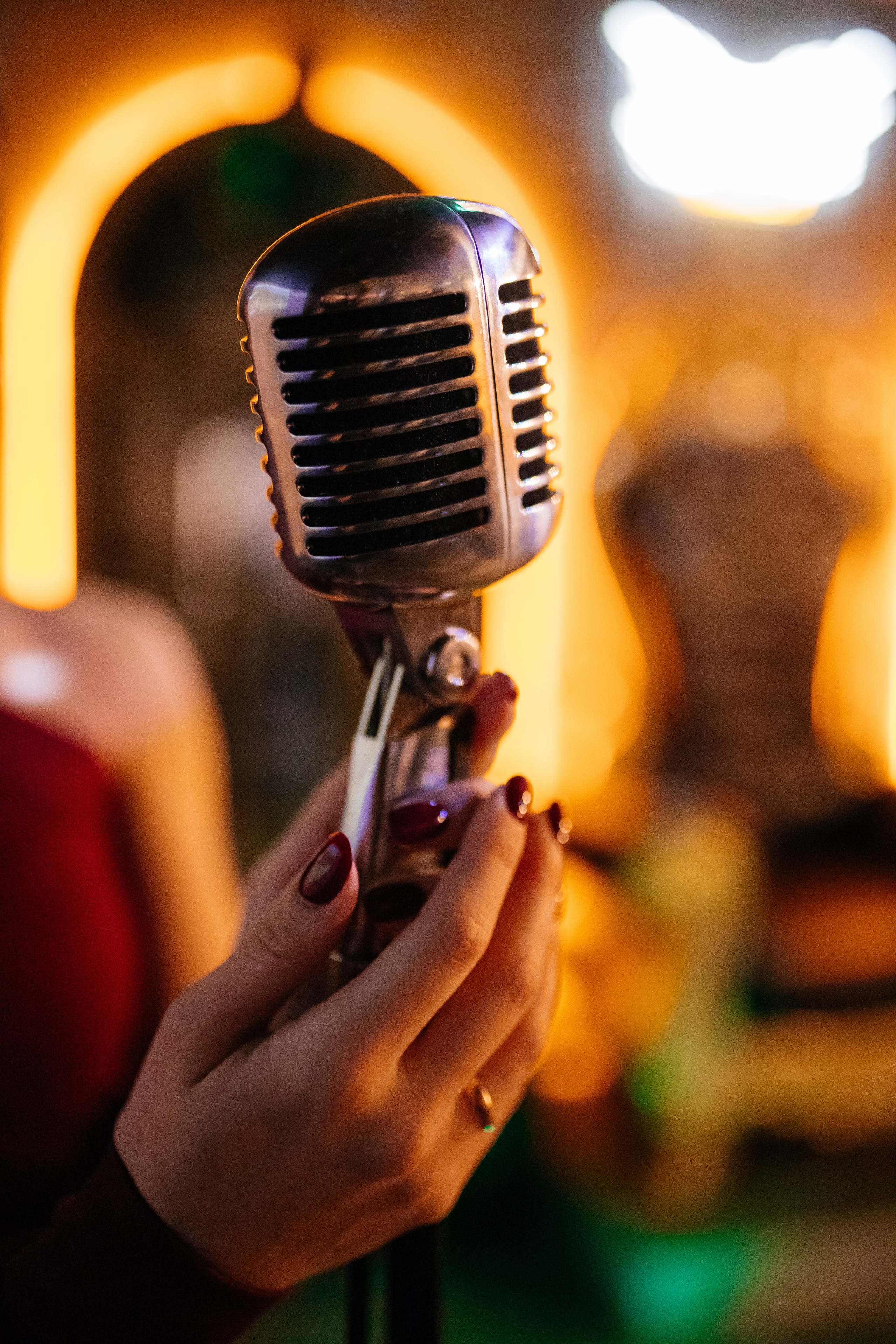 Караоке-вечеринка. 