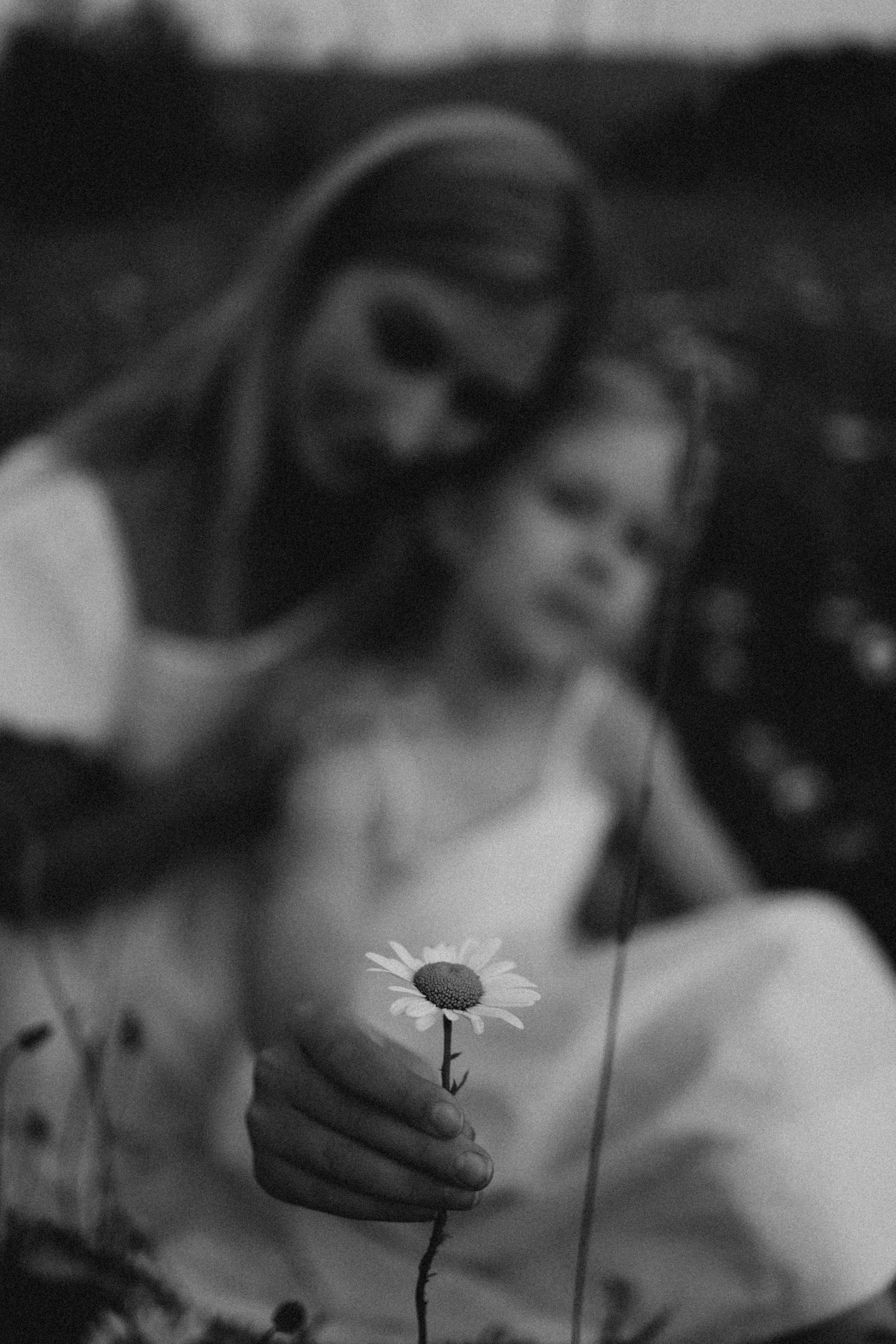 Ромашки. Фотограф Немазенко Ольга