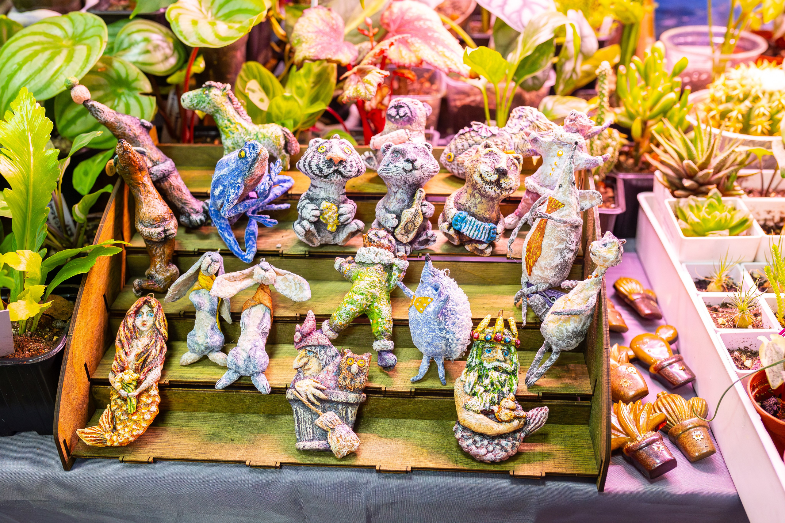 Орхидиум сентябрь 2025. Александра Куликова фотограф, Москва