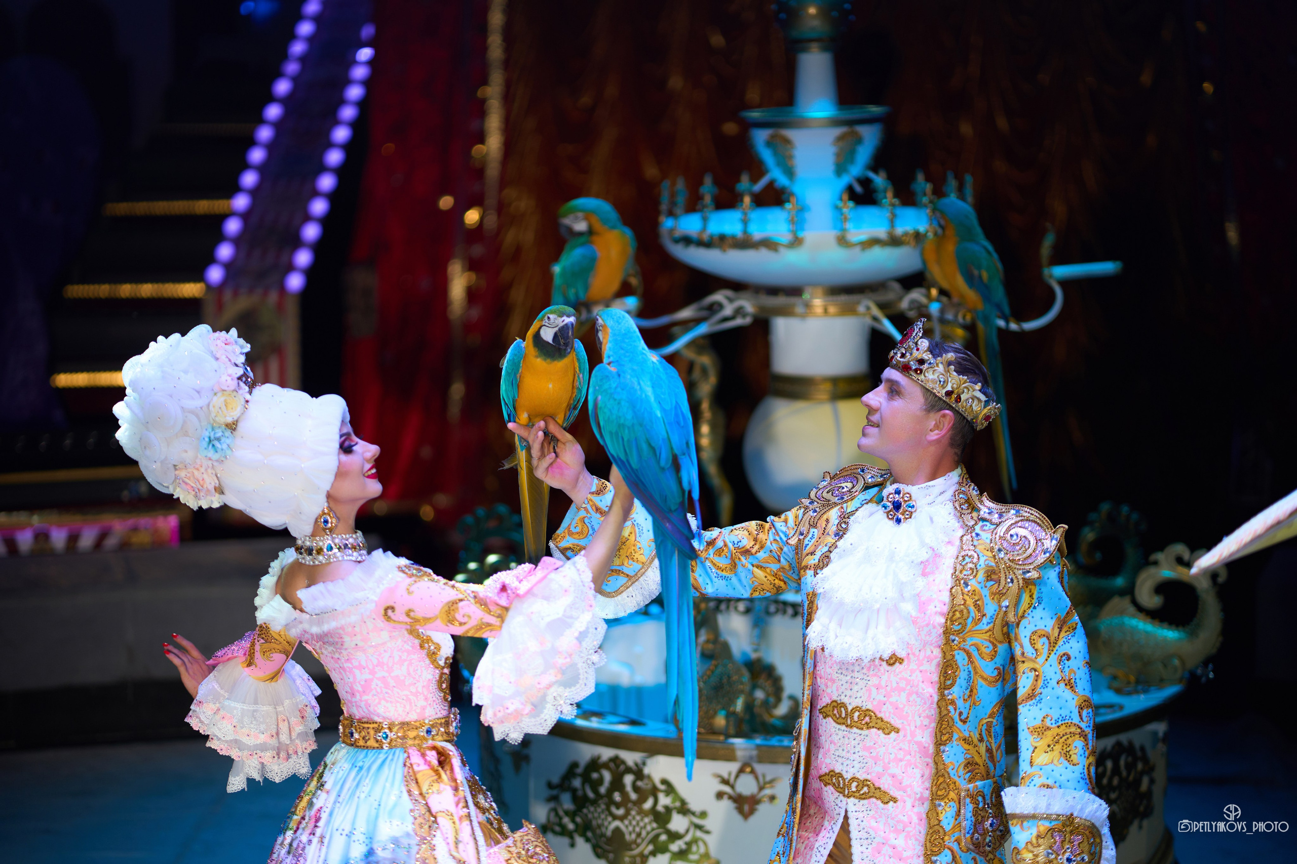 Дарья и Владимир Лекаревы артисты цирка