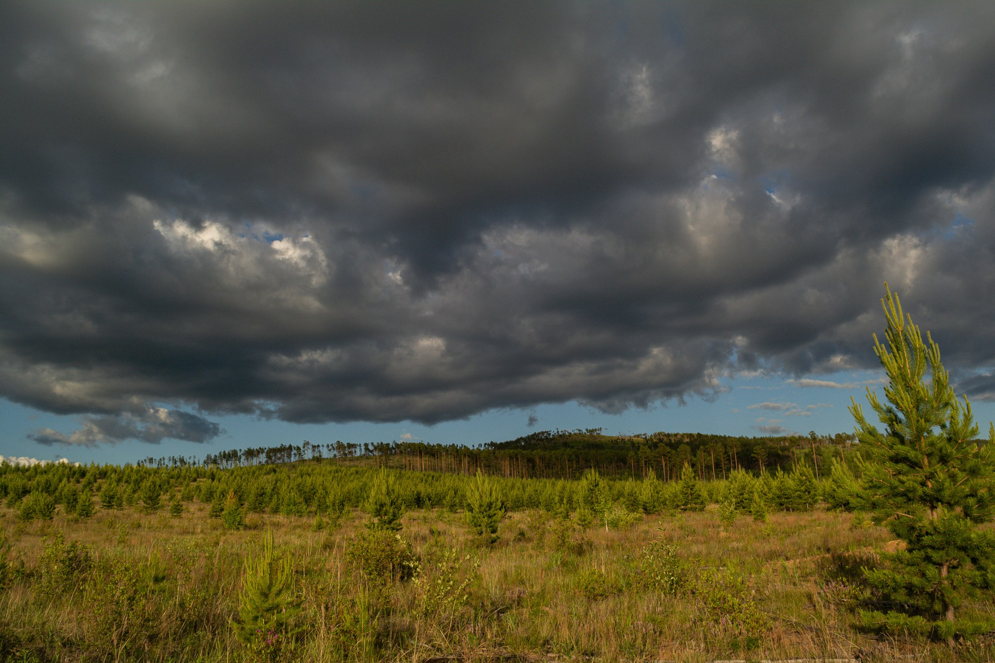 Разное. Репортажный фотограф г. Чита