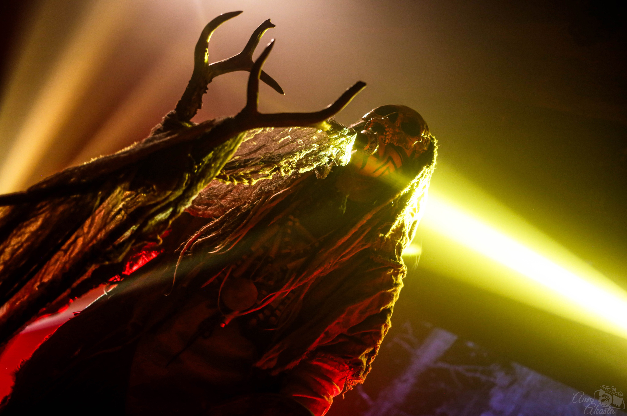 Студийная, репортажная и пленерная съёмка. Анна Акоста: фотограф в Санкт-Петербурге и Таганроге