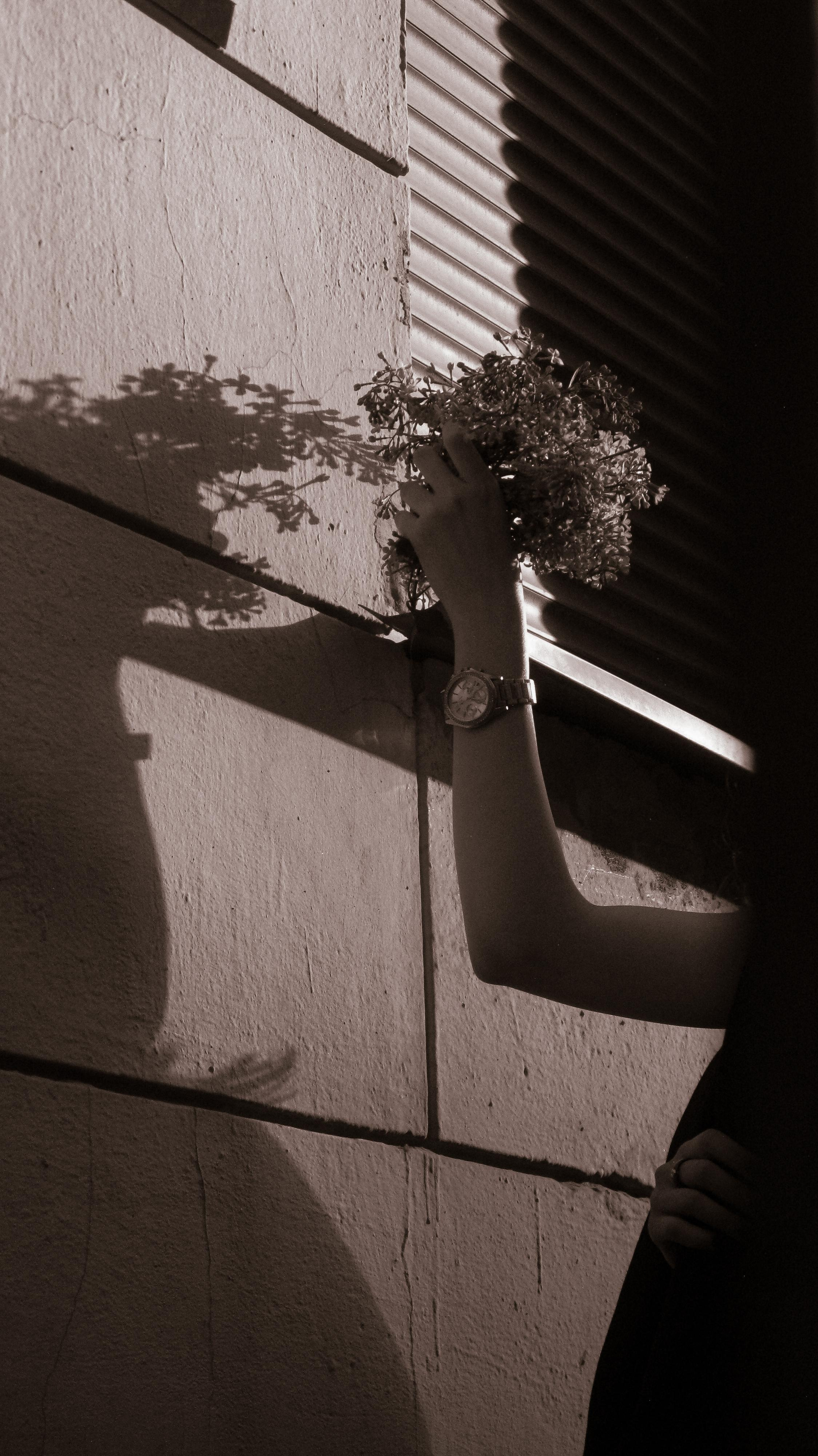 Алена. Портретный и свадебный фотограф в Москве Александра