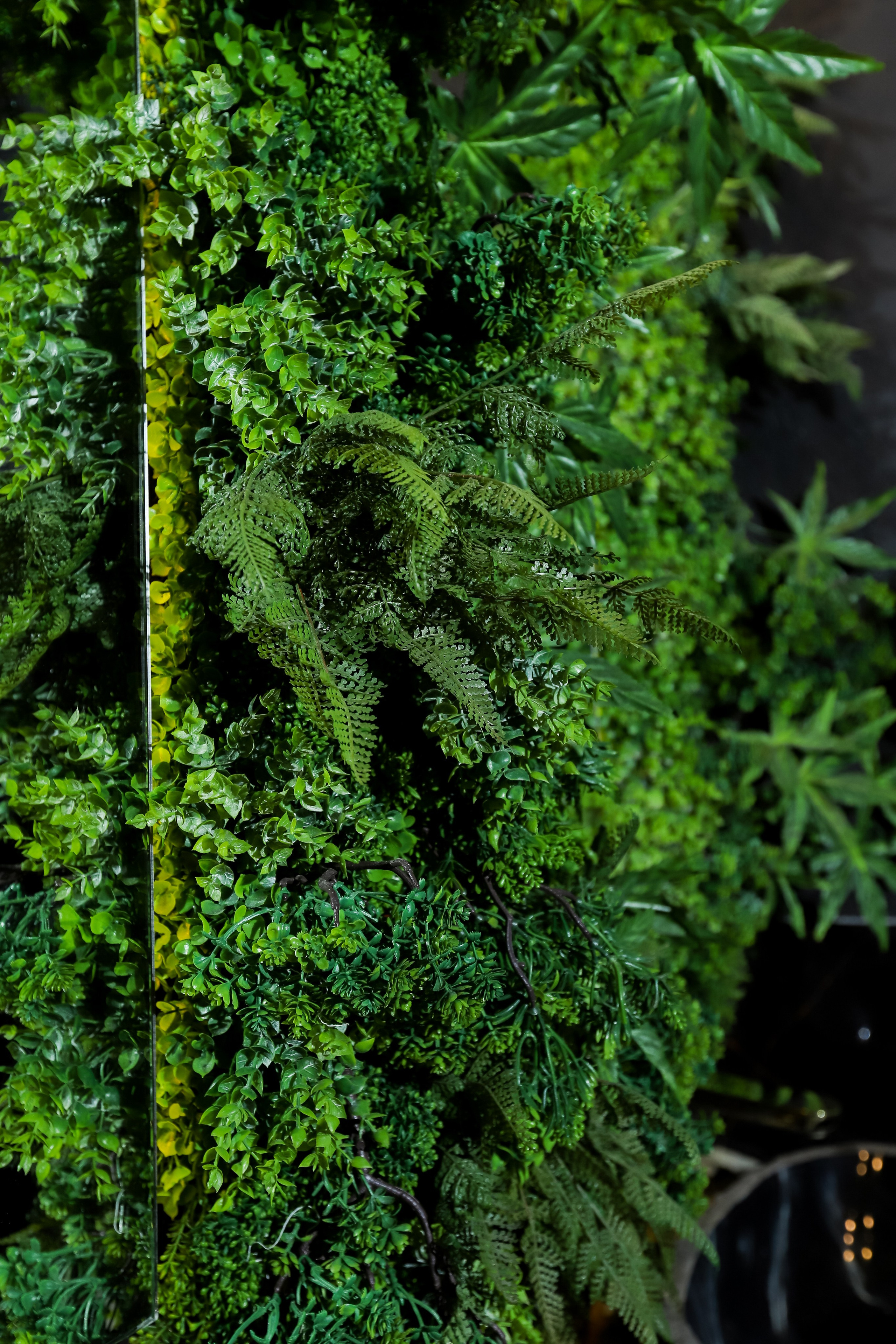 Tony Montana. Фотограф в Краснодаре Анна Светикова