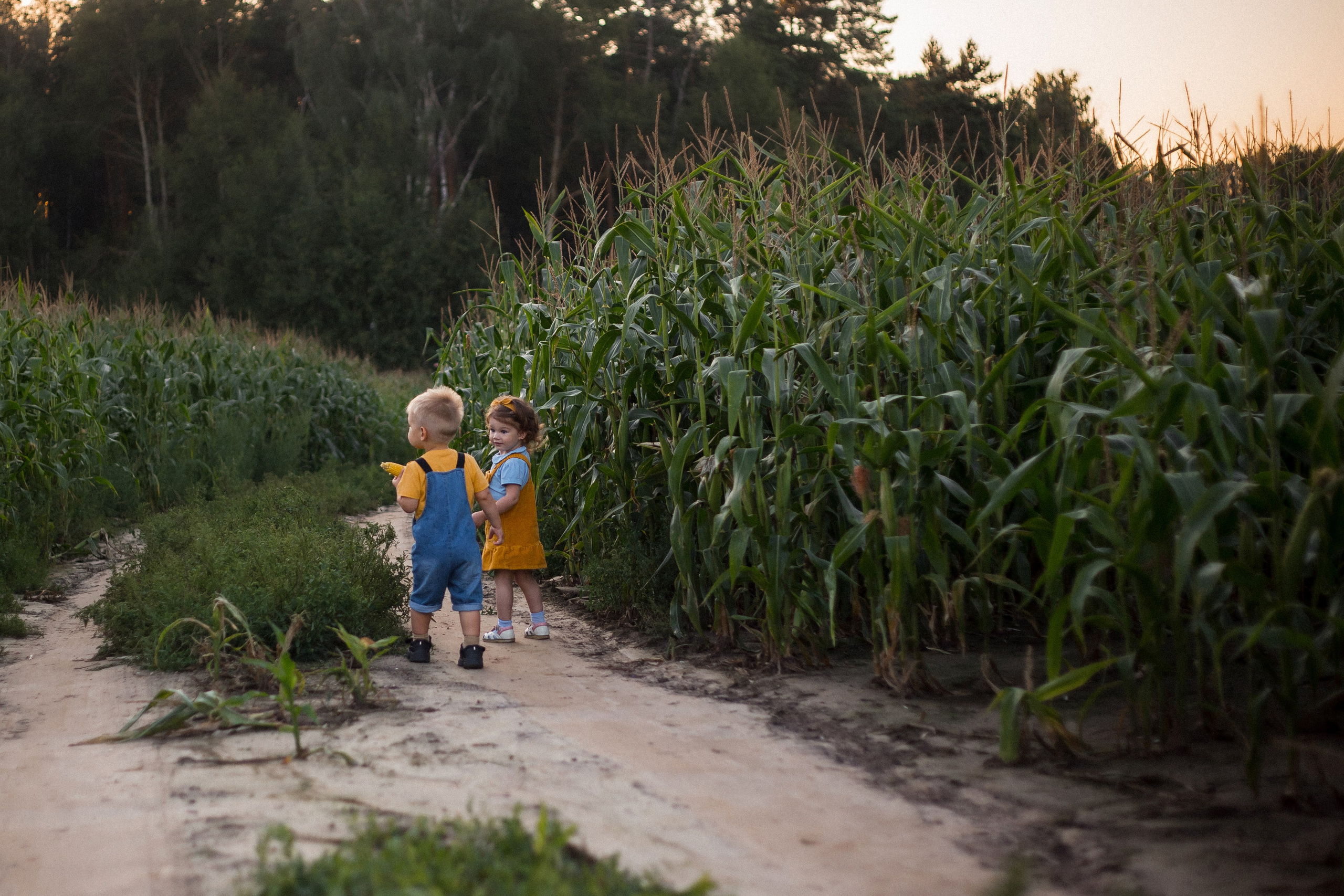 Миша и Маша. Портретный, семейный, свадебный фотограф в Брянске Маргарита Василькова