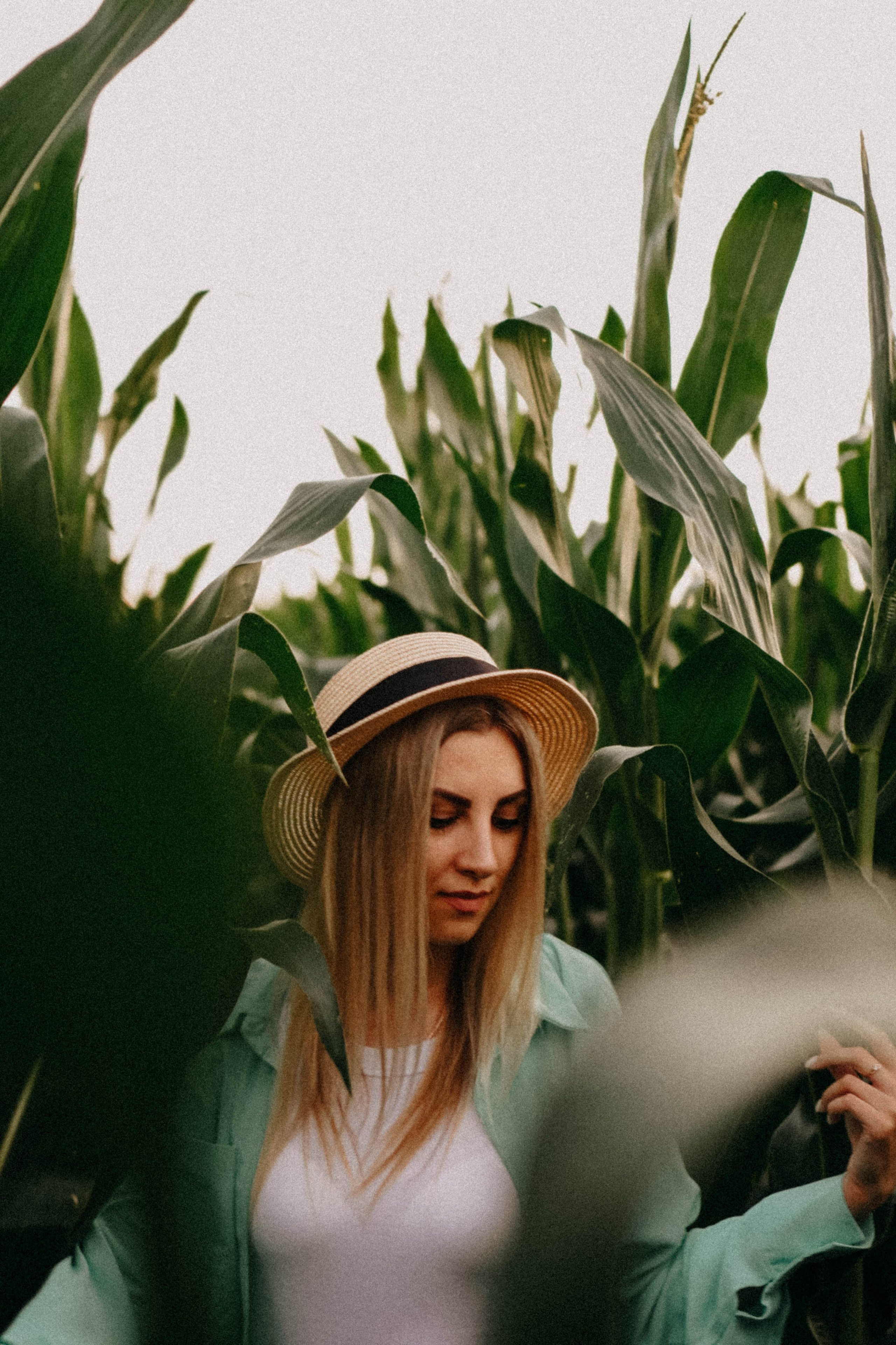 Летний вечер. Профессиональный фотограф, Санкт-Петербург — Виктория Богомолова