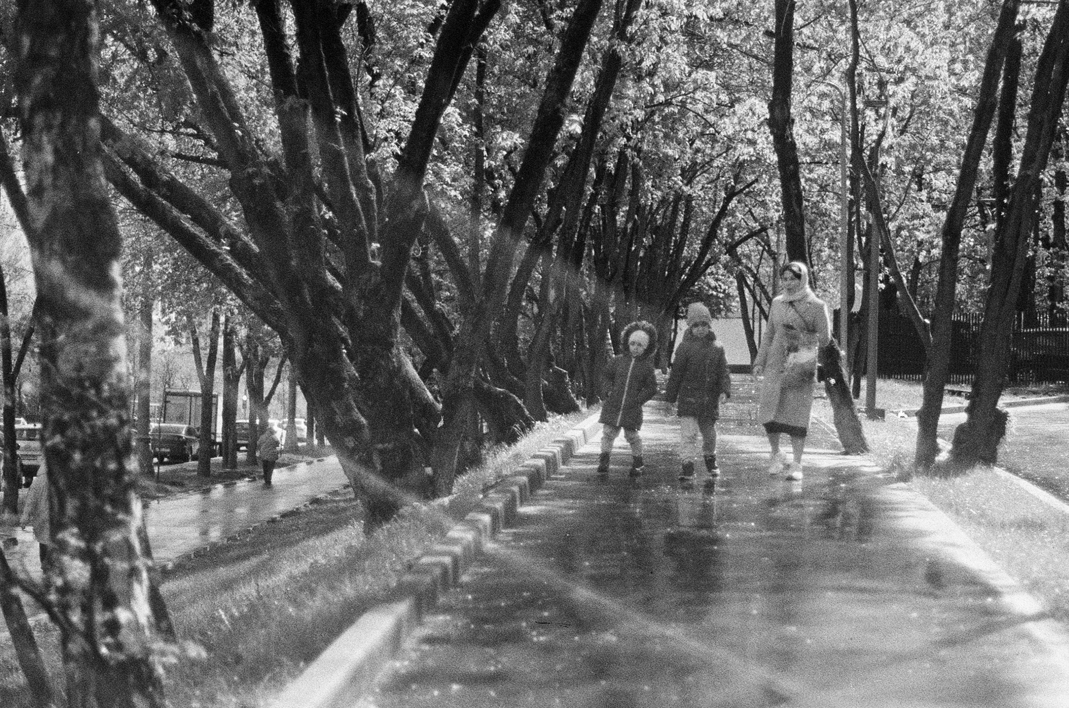 Улица на пленке. Fomapan 400. Фотограф и оператор мероприятий, концертов и портретов в городе Москва