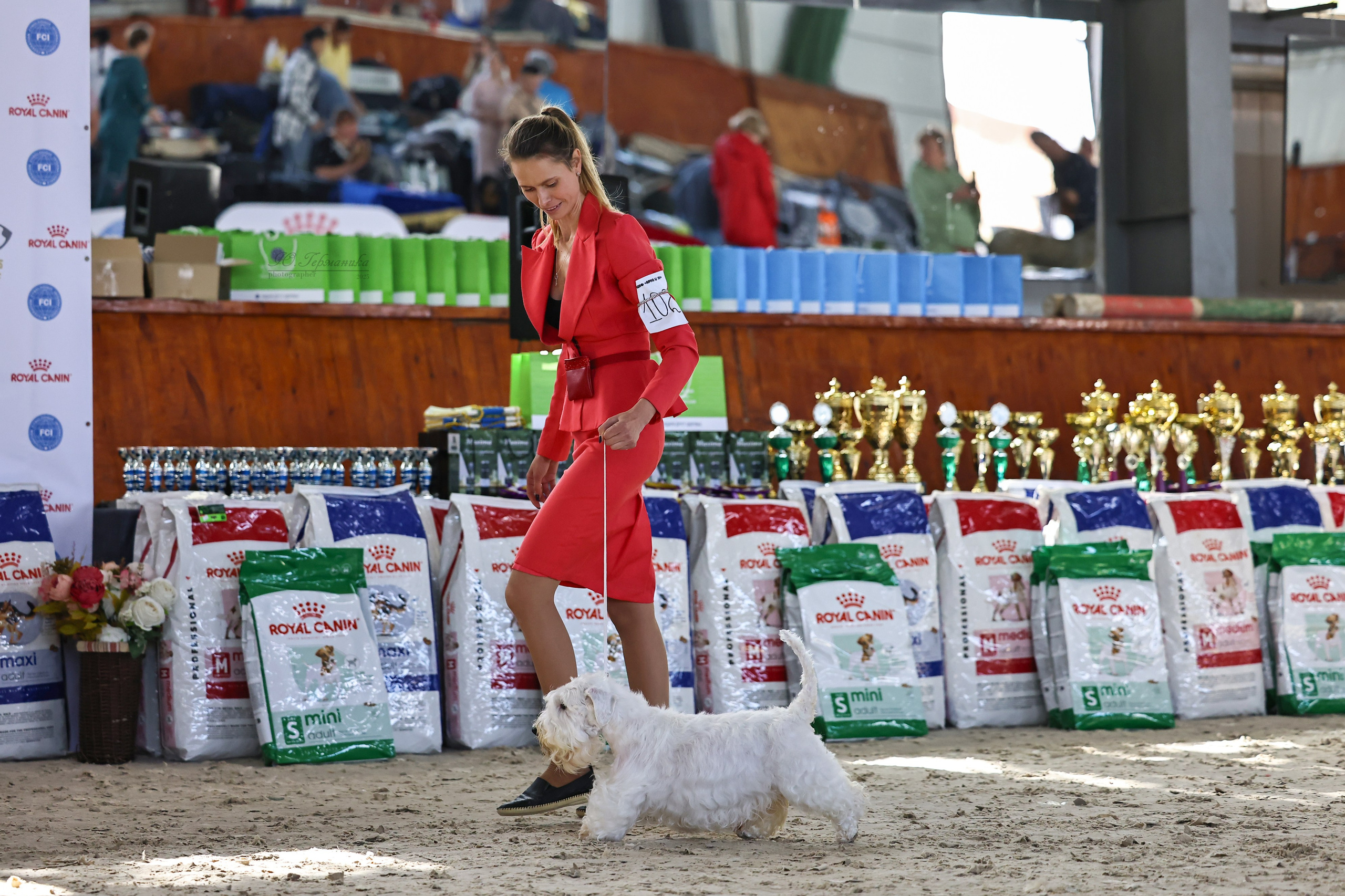 Астана 2хCACIB 26-28.09.2025. Фотограф-анималист Юлия Германика