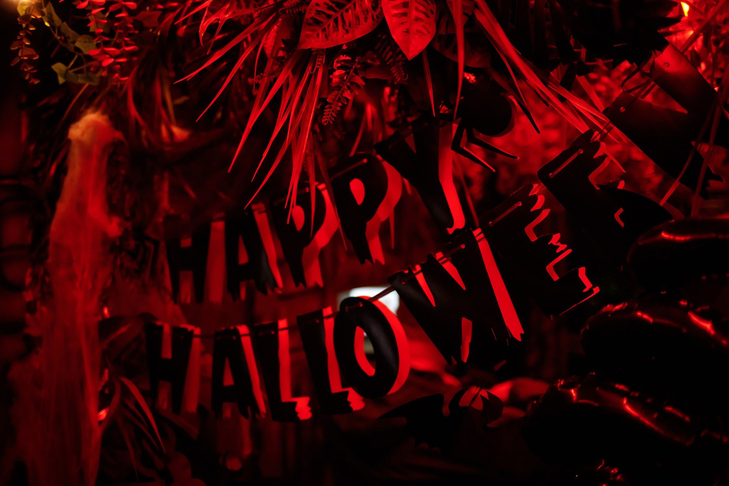 Botanica. Кипятком Павлодар