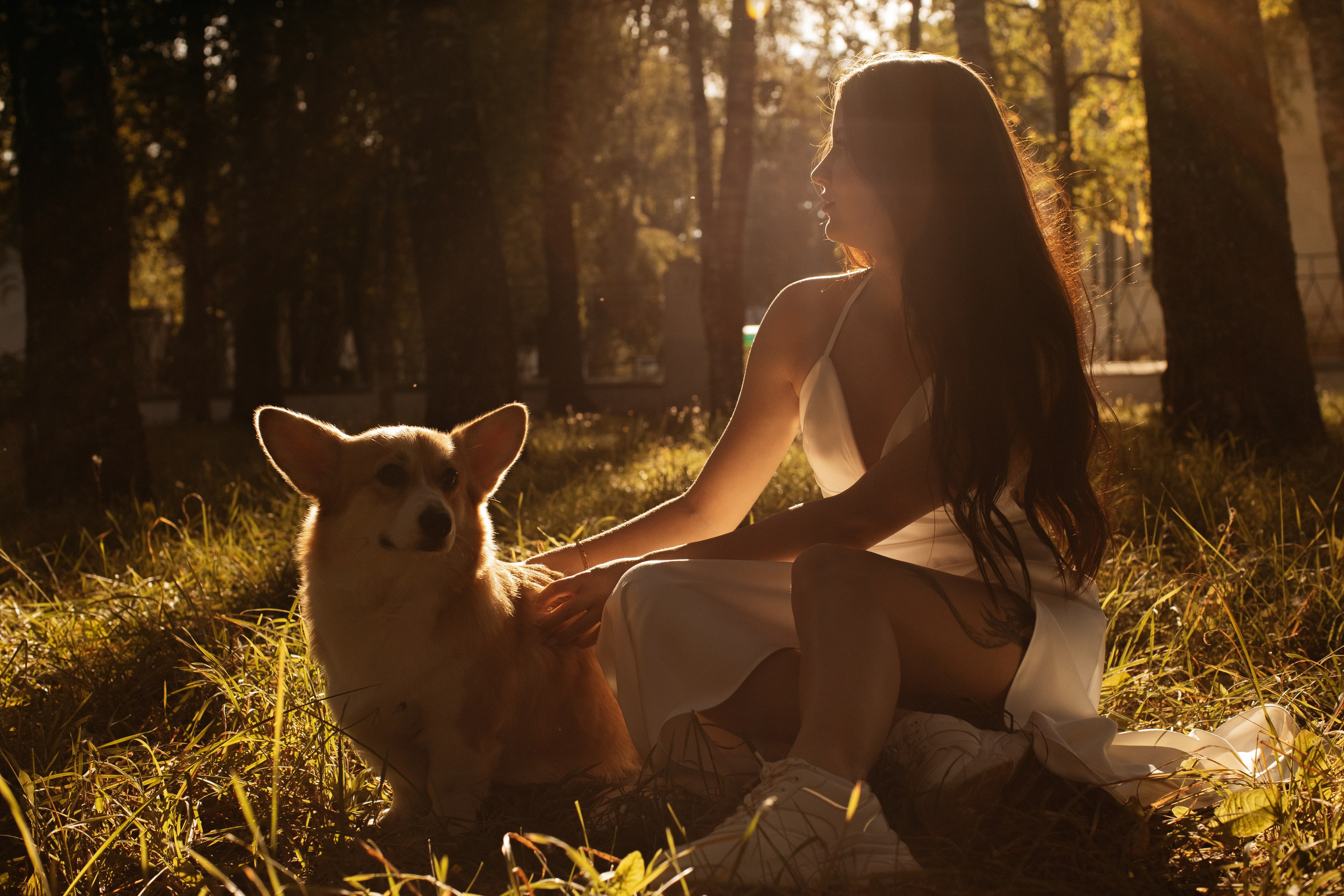 Анонс. Свадебный фотограф Кузнецова Ольга Санкт-Петербург, Вологда, Череповец