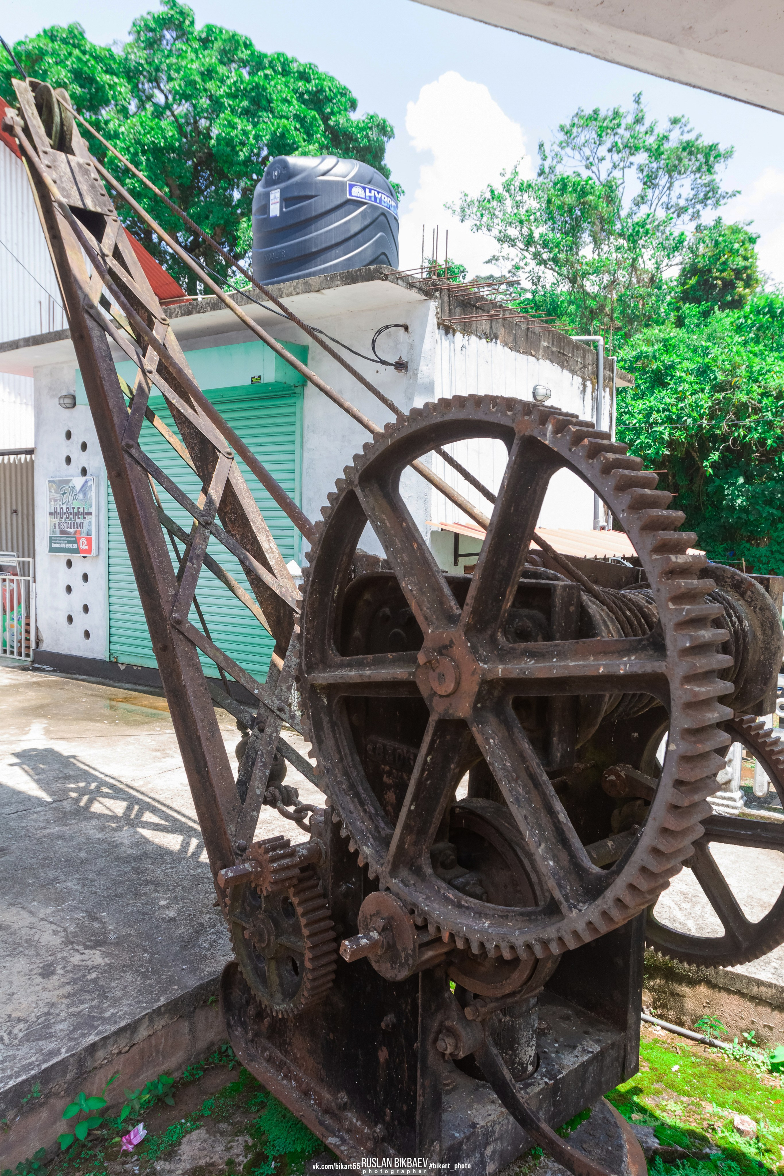 ШРИ-ЛАНКА 2025 / SRI LANKA 2025. Главная