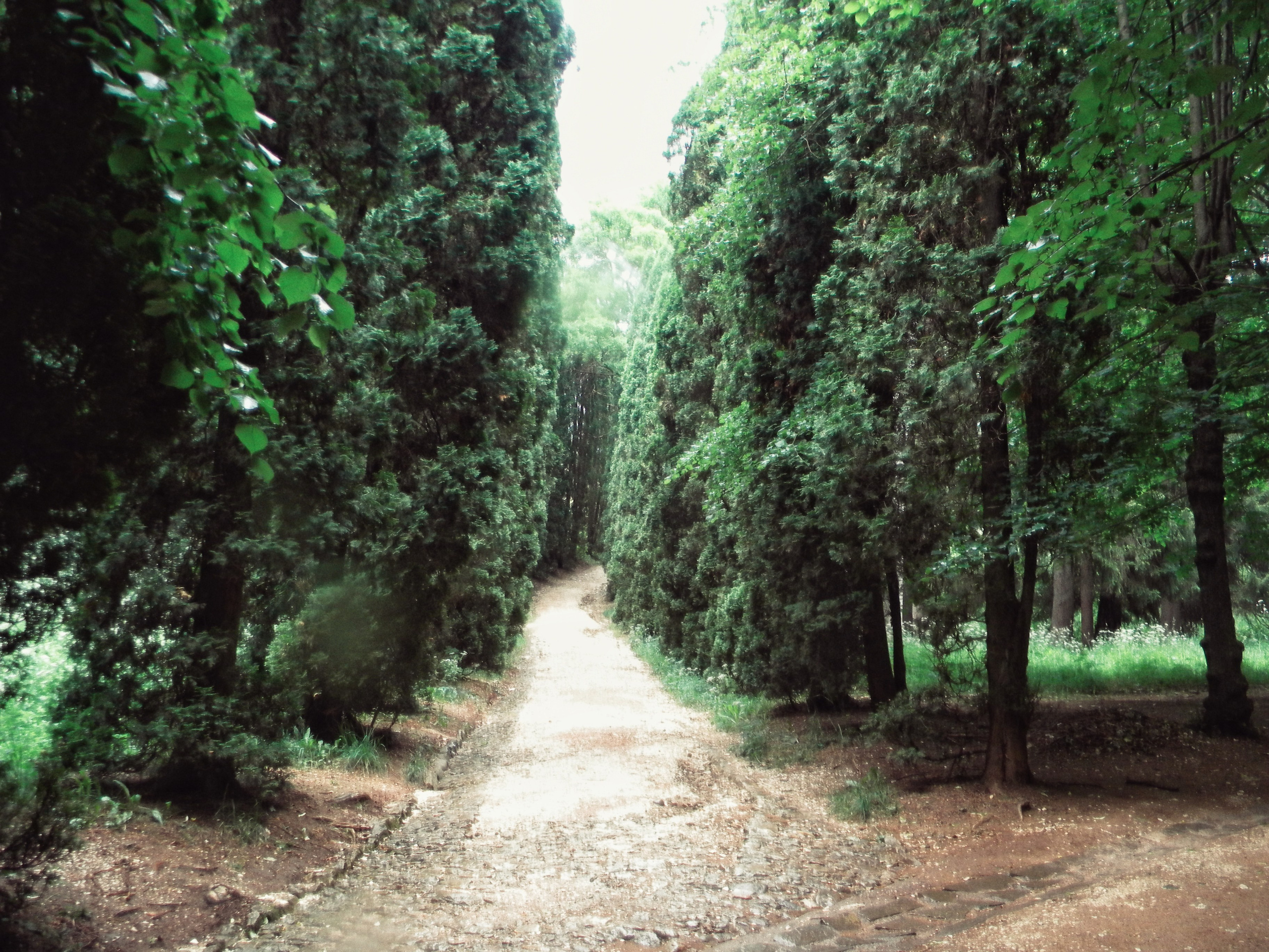 Пейзажи. By Анастасия Сигута