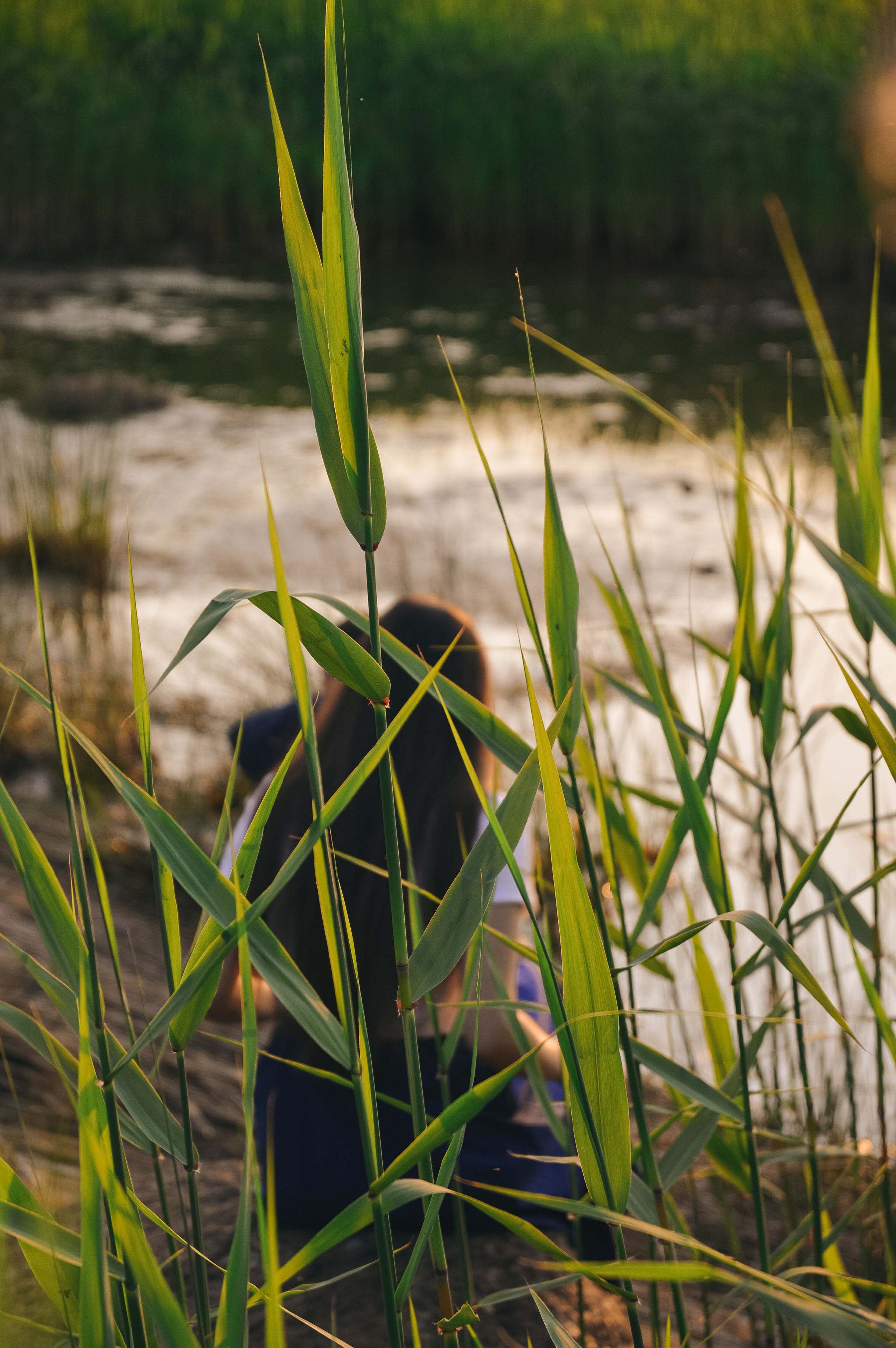 Семейная съемка. Питерский фотограф