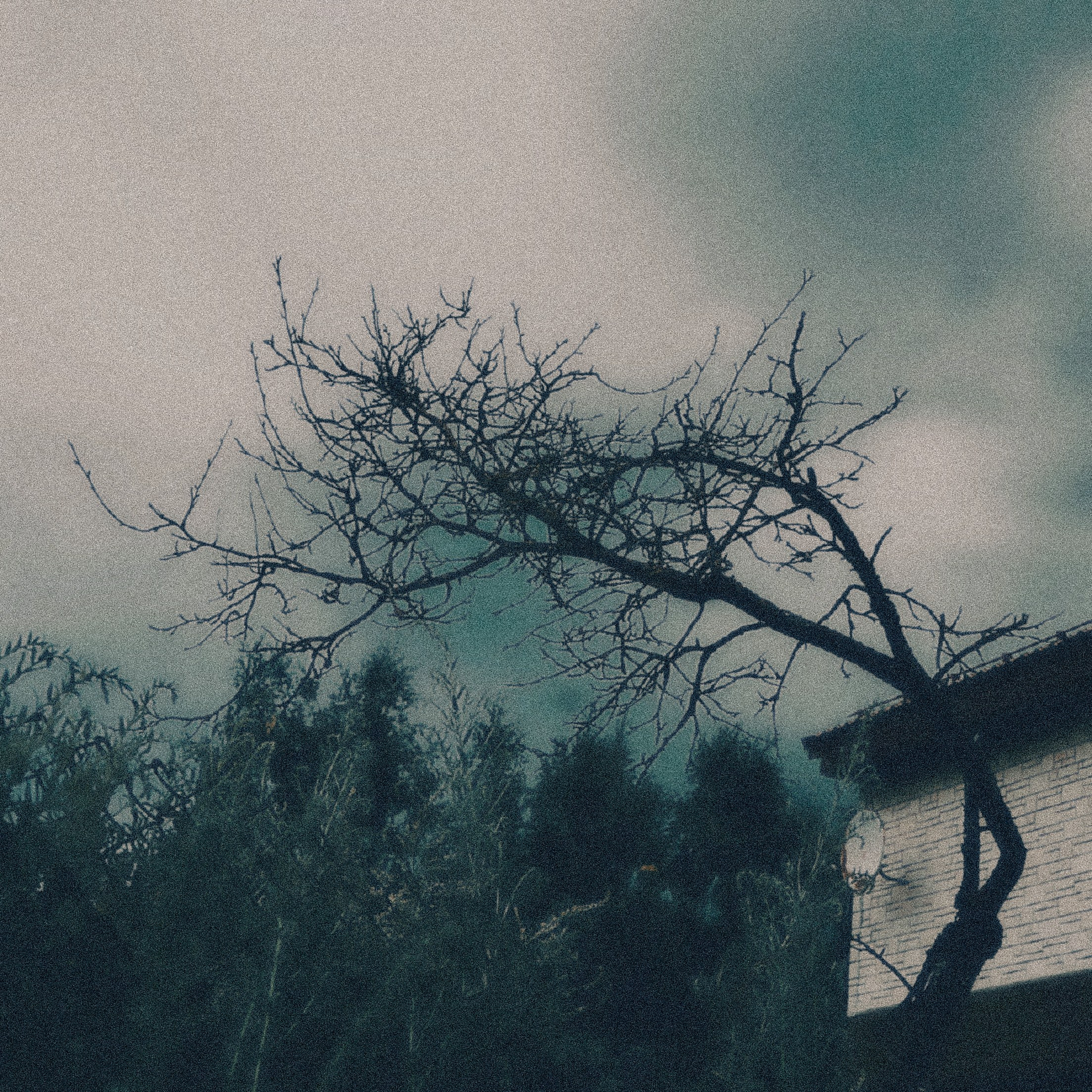 ph: Марина Гусева