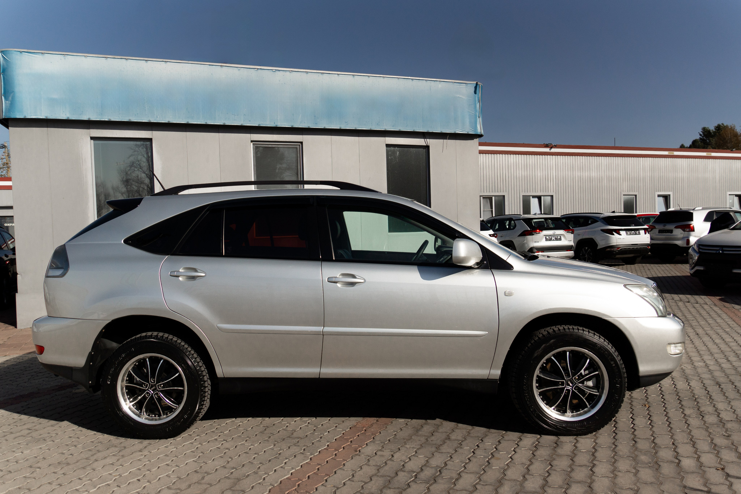 Съёмка для автосалона «Звезда Сибири». Женский фотограф Омск, Екатерина Петрова