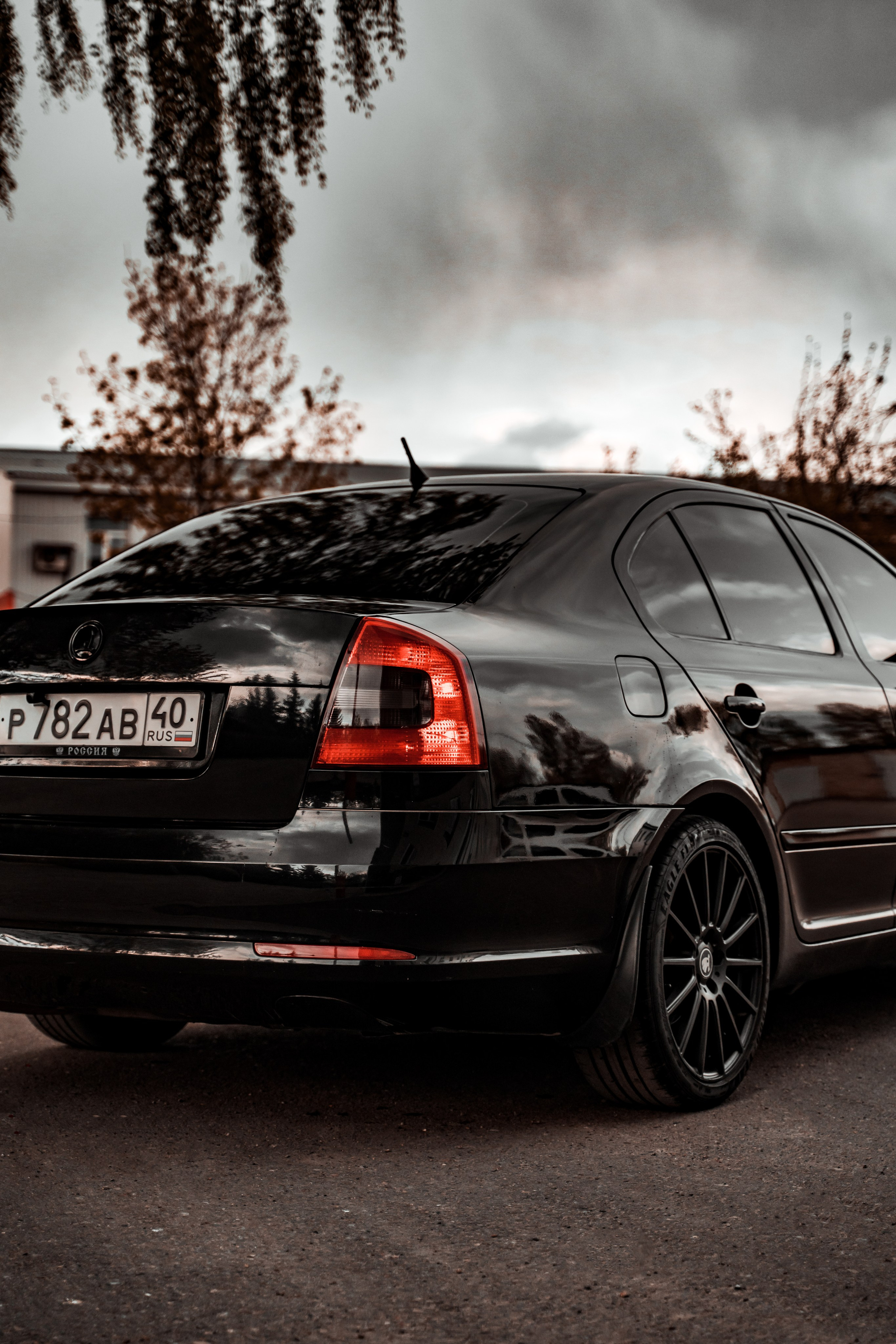 Skoda Octavia A5. Vlad Trykov