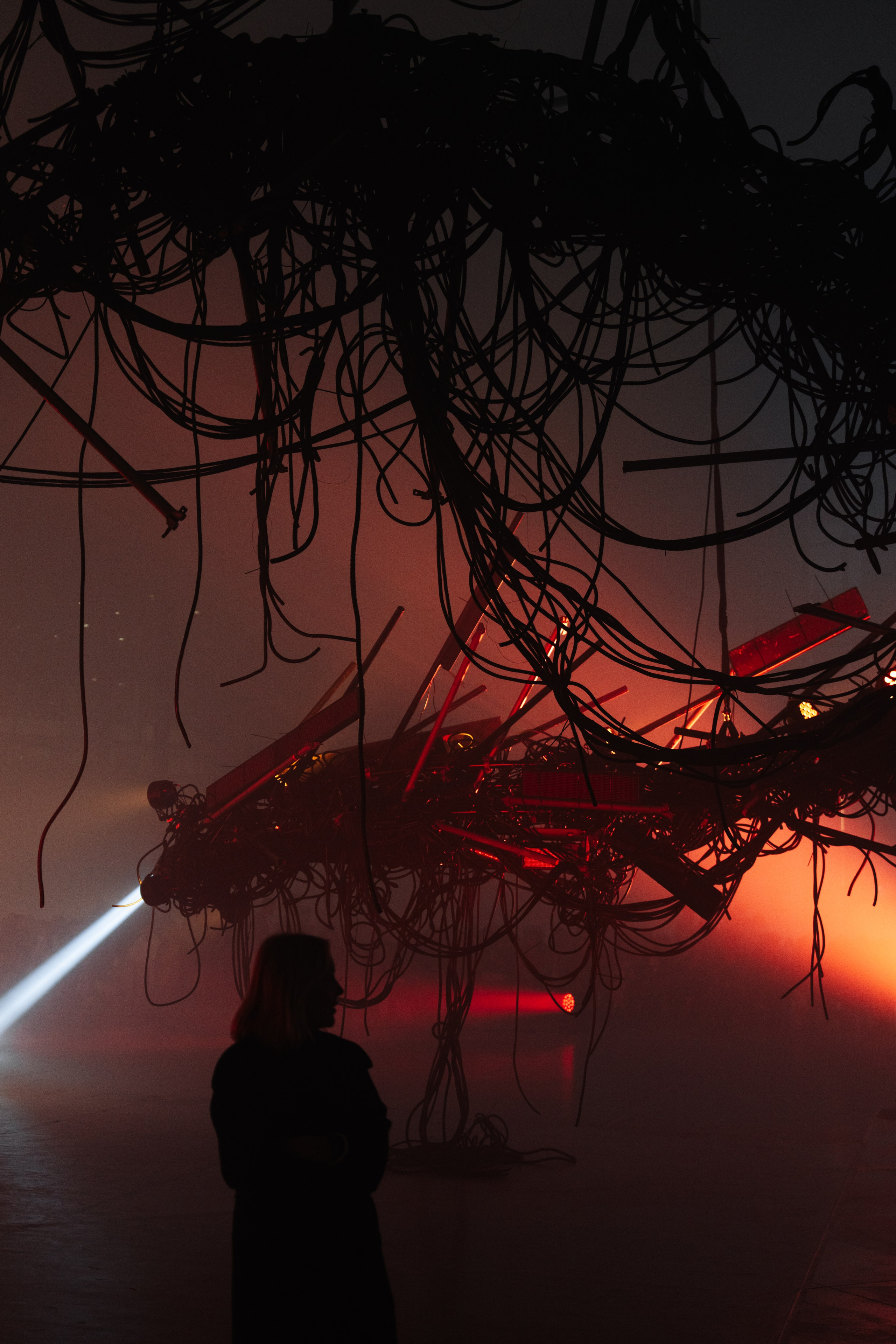 PERFORMA, The Hour of the Horse. @tomrus: Рустам Шагиморданов — фотограф