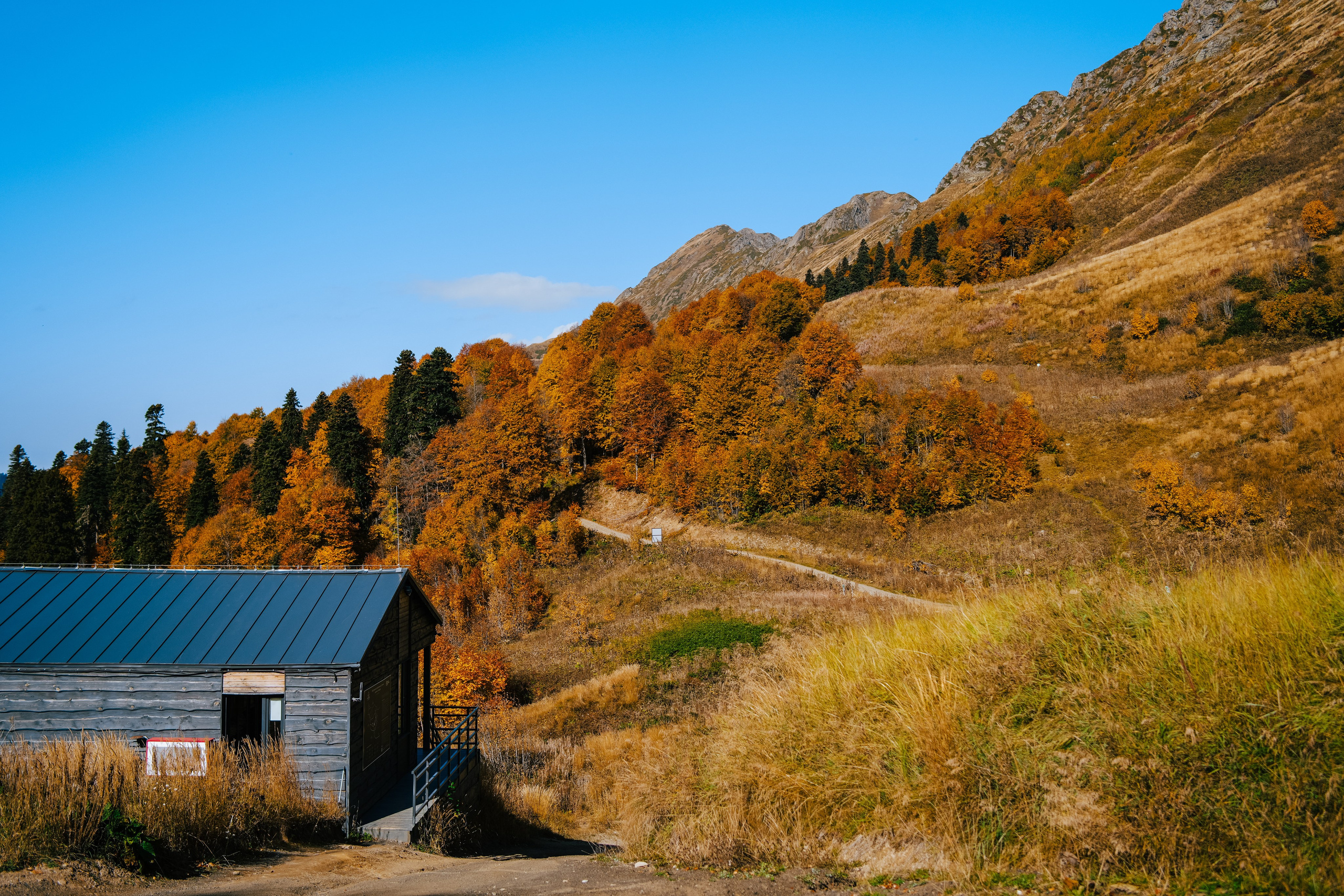 Роза Пик, тропа Турья ✽ Октябрь. Репортажный фотограф | Роза Хутор Красная Поляна Сочи Сириус