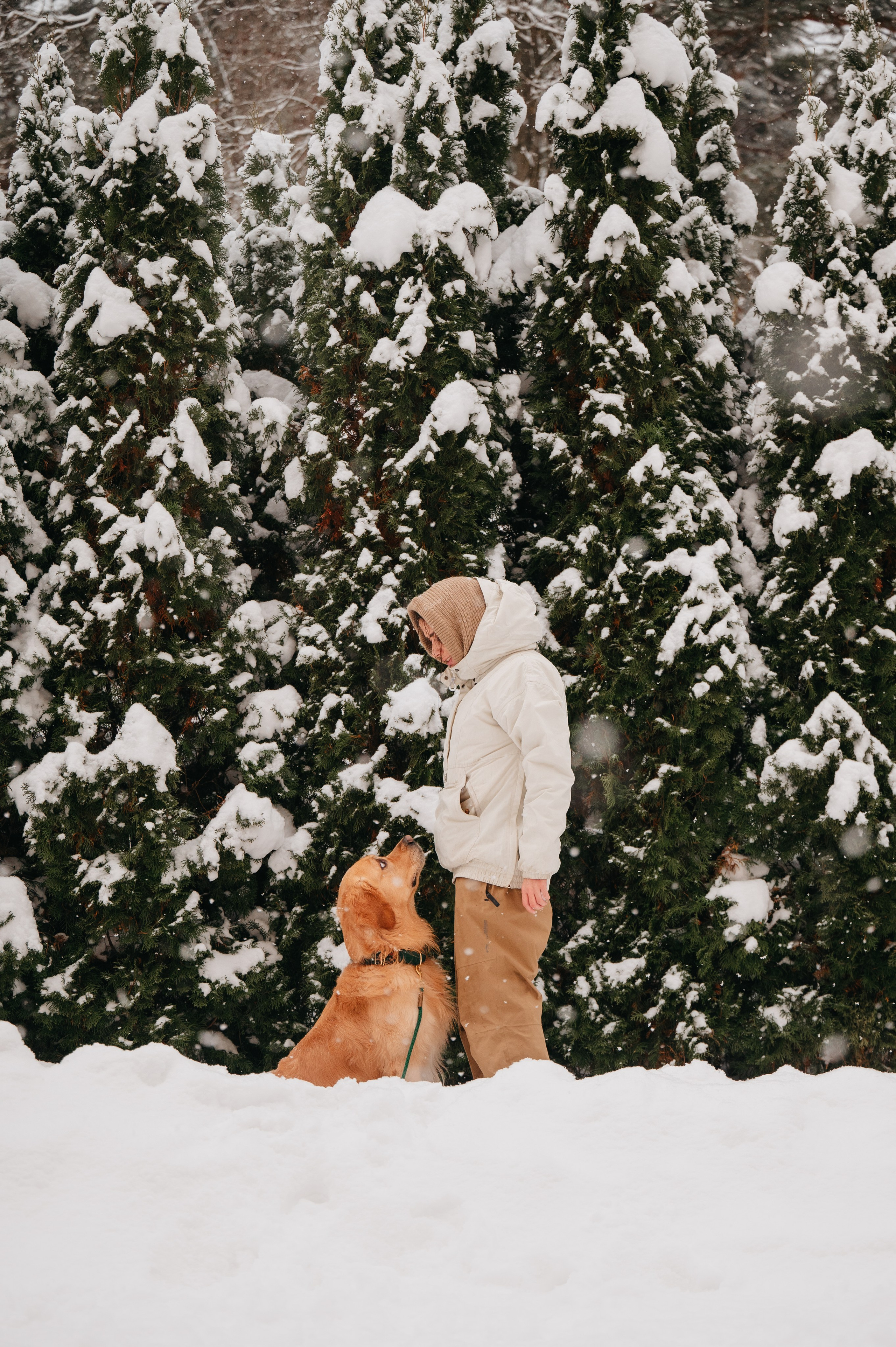 Bender&Frai. Зимняя коллекция. Семейный фотограф анималист Ананьева Мария — Москва