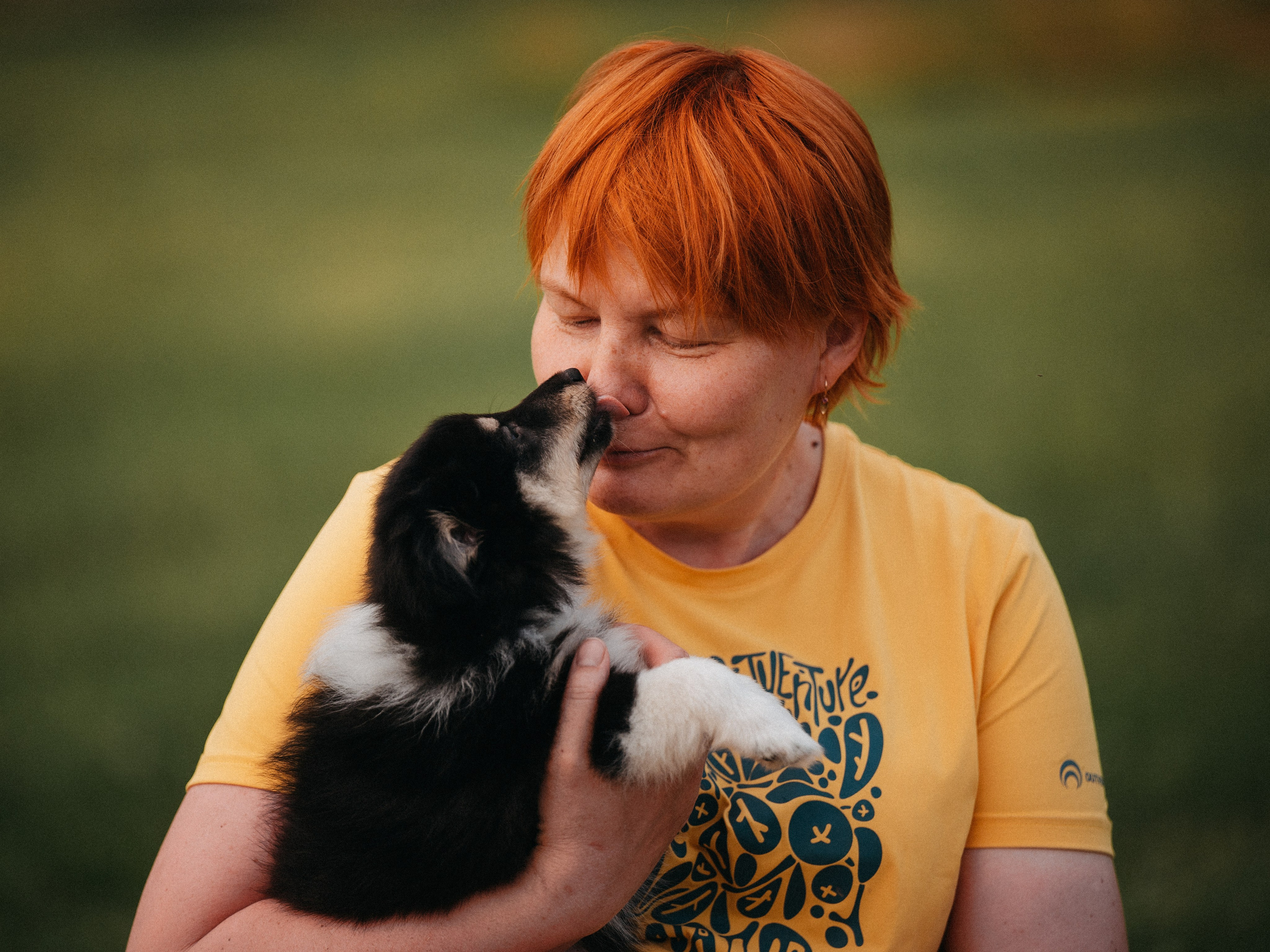 Шелти. Семейный фотограф анималист Ананьева Мария — Москва