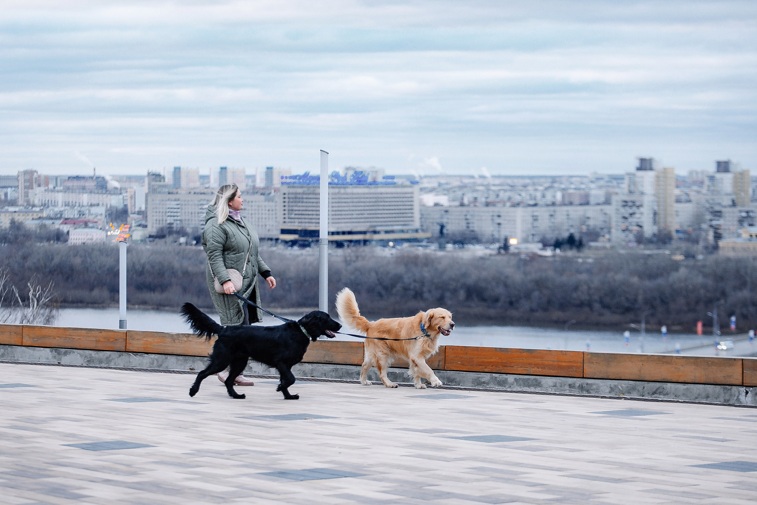 Юля, Стёпа и Мята. Фотограф-анималист Анастасия Парфенова|Екатеринбург