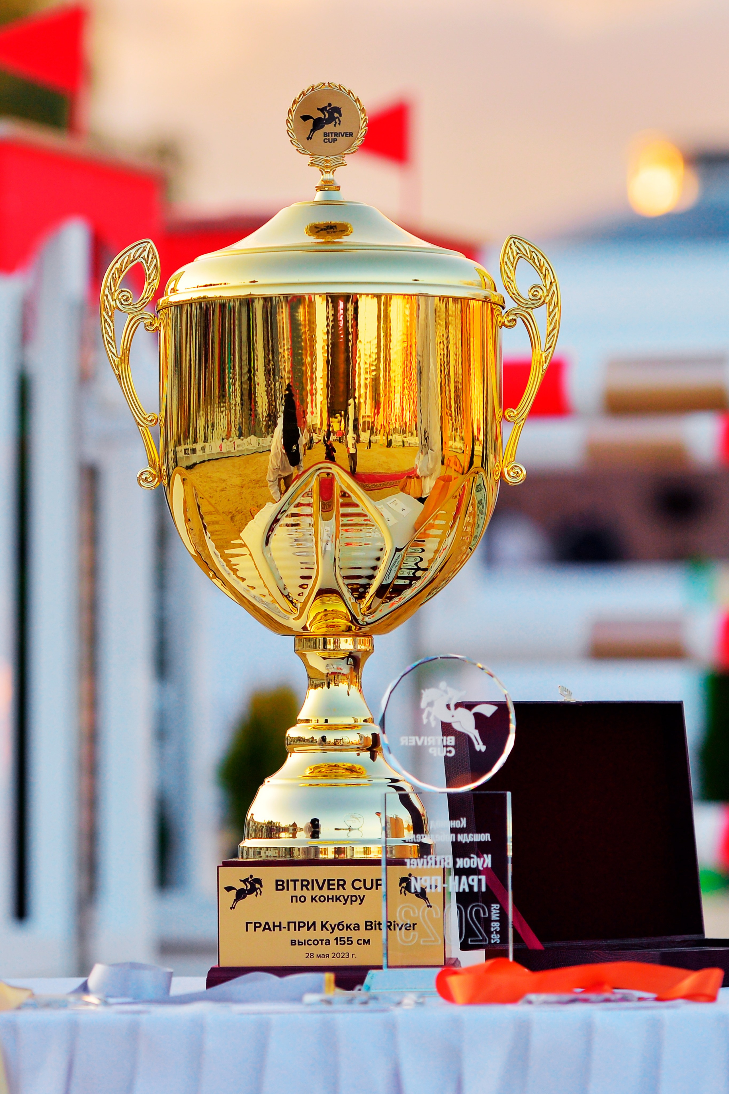 Репортаж Bitriver. Конный фотограф Alesya Safe