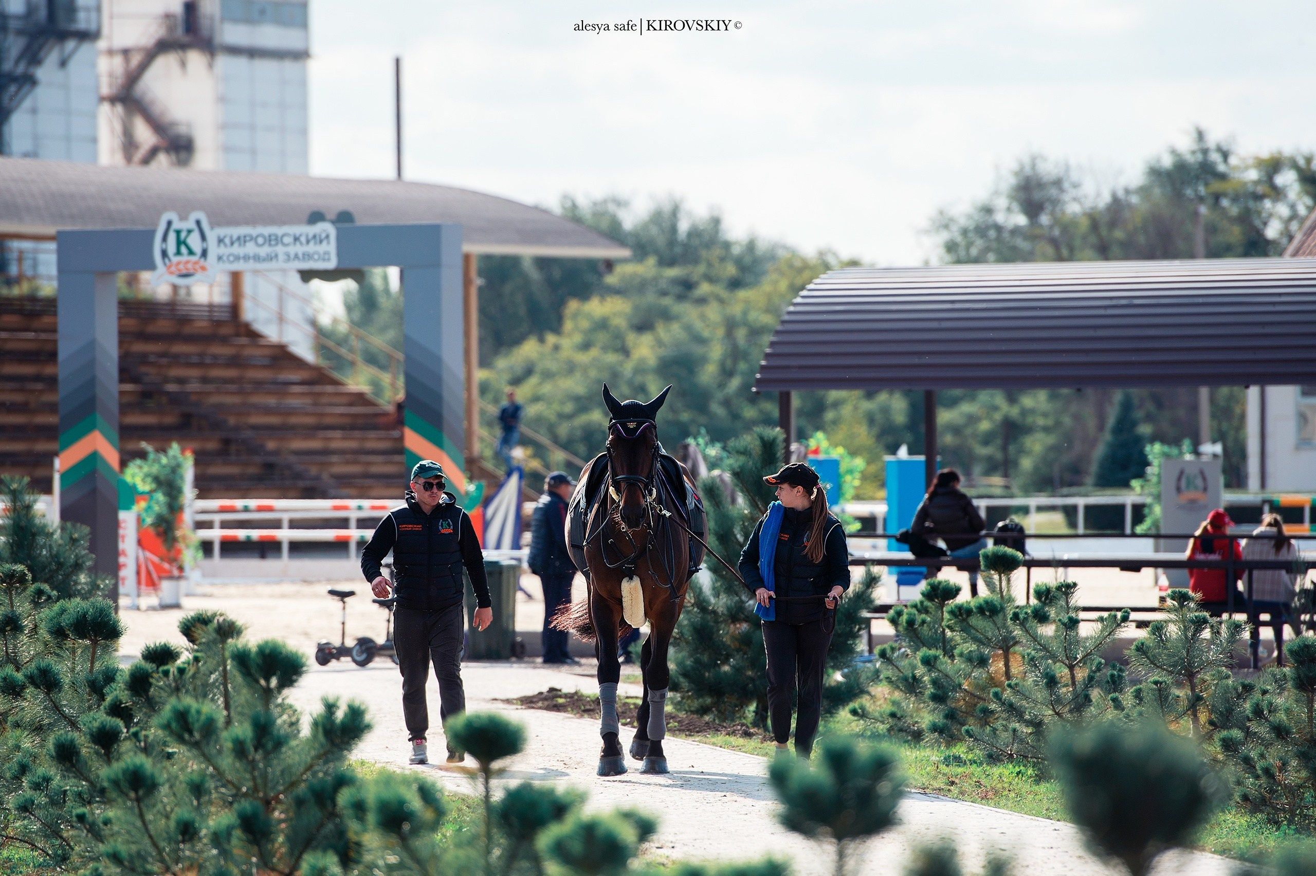 Кировский конный завод. Конный фотограф Alesya Safe